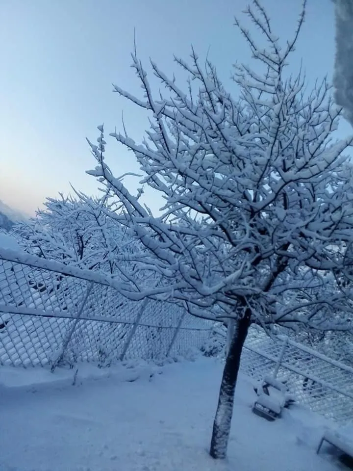 Hotel Deewan-E-Aziz Internationa