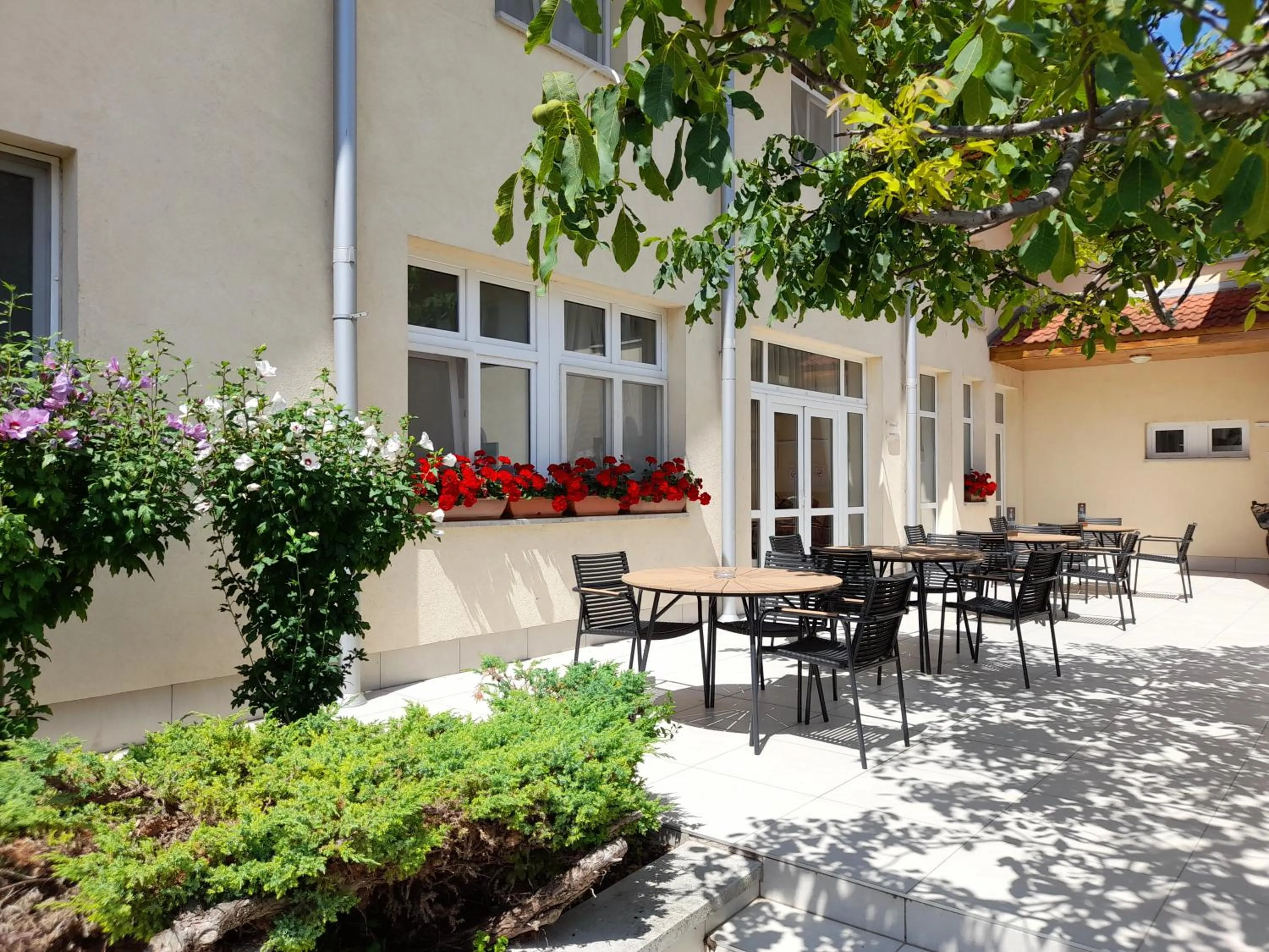Property building in Hotel Platan