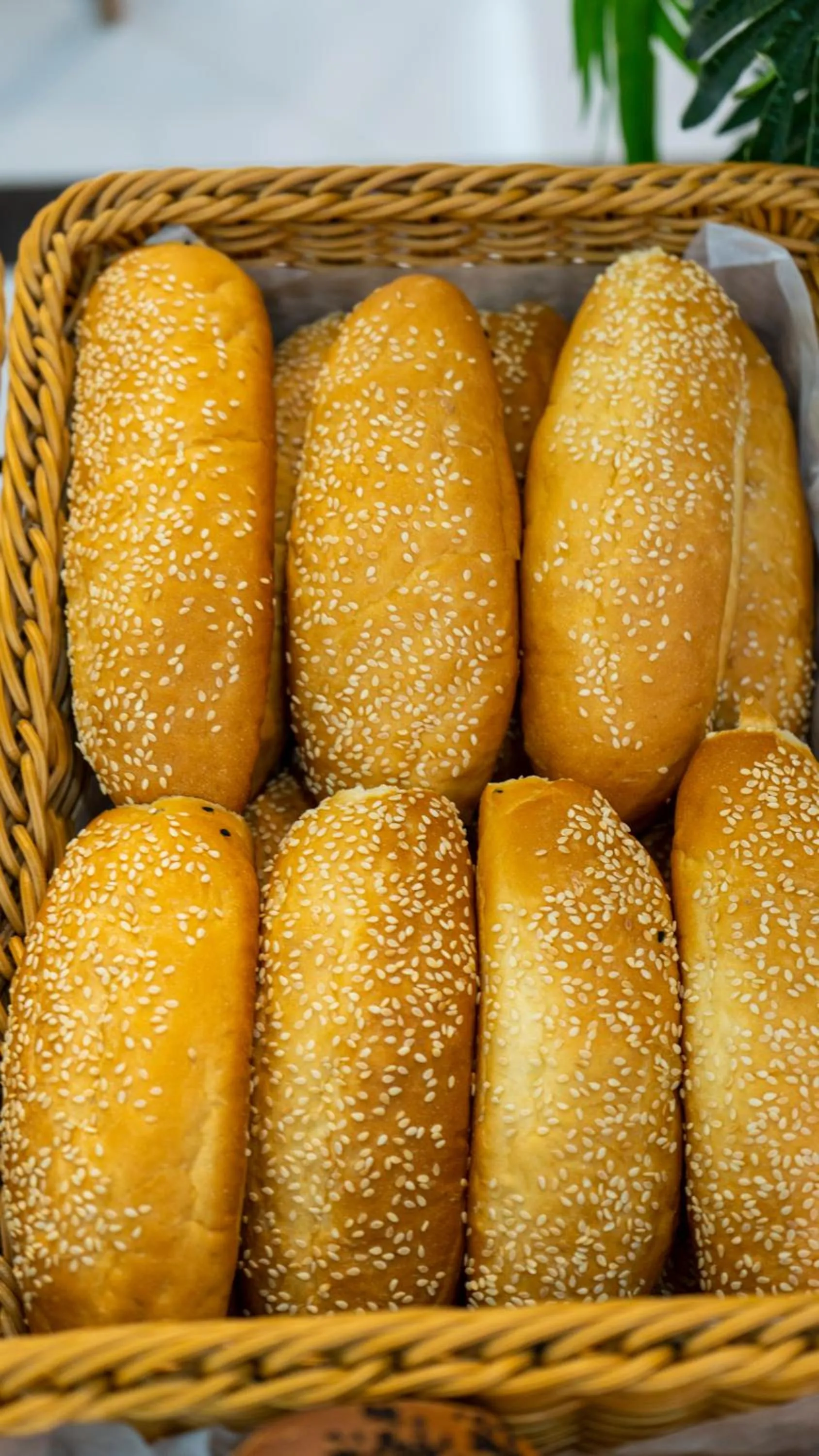 Restaurant/places to eat in Jiwar Al Madina Hotel