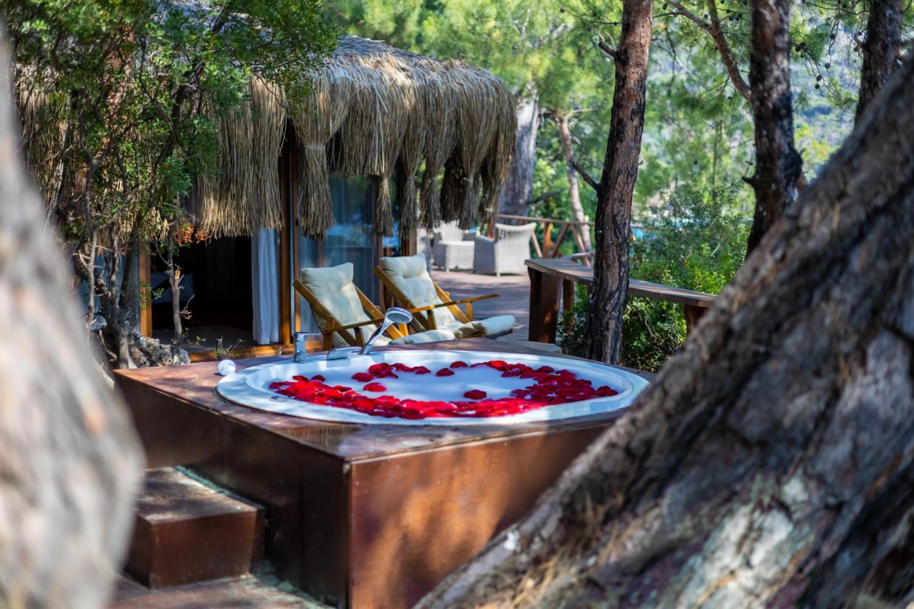 Garden in La Boheme Kabak Adults Only