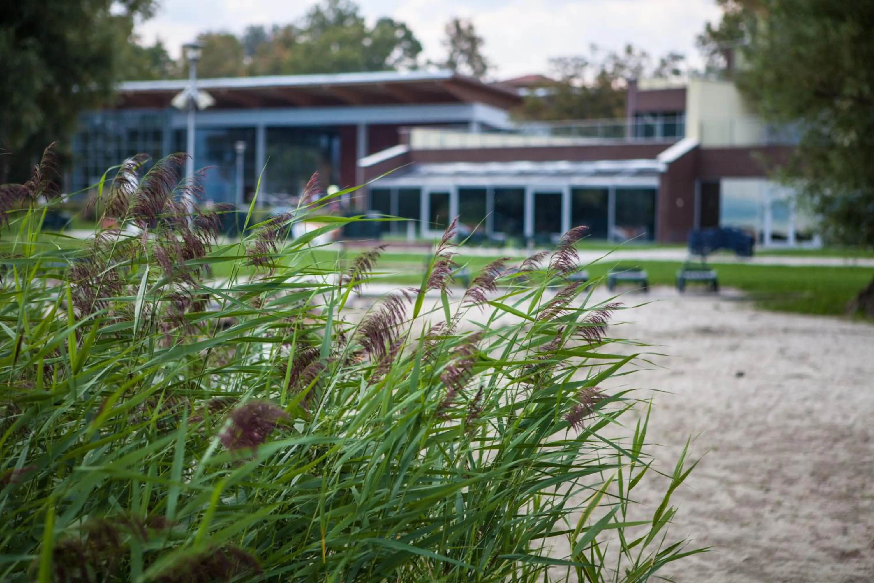Garden in Hotel Azur Siofok