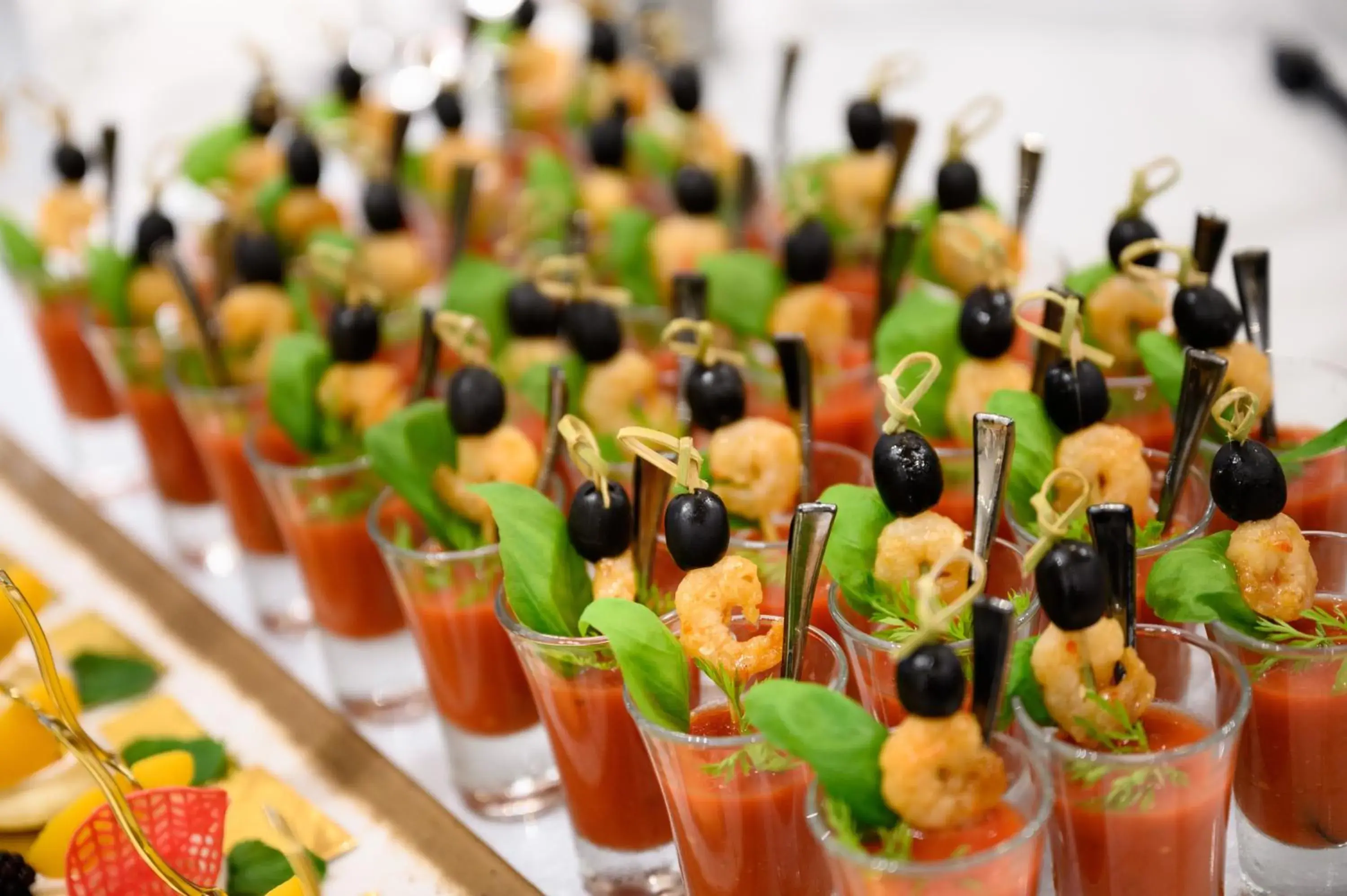 Hotel Divinus Hotel Divinus