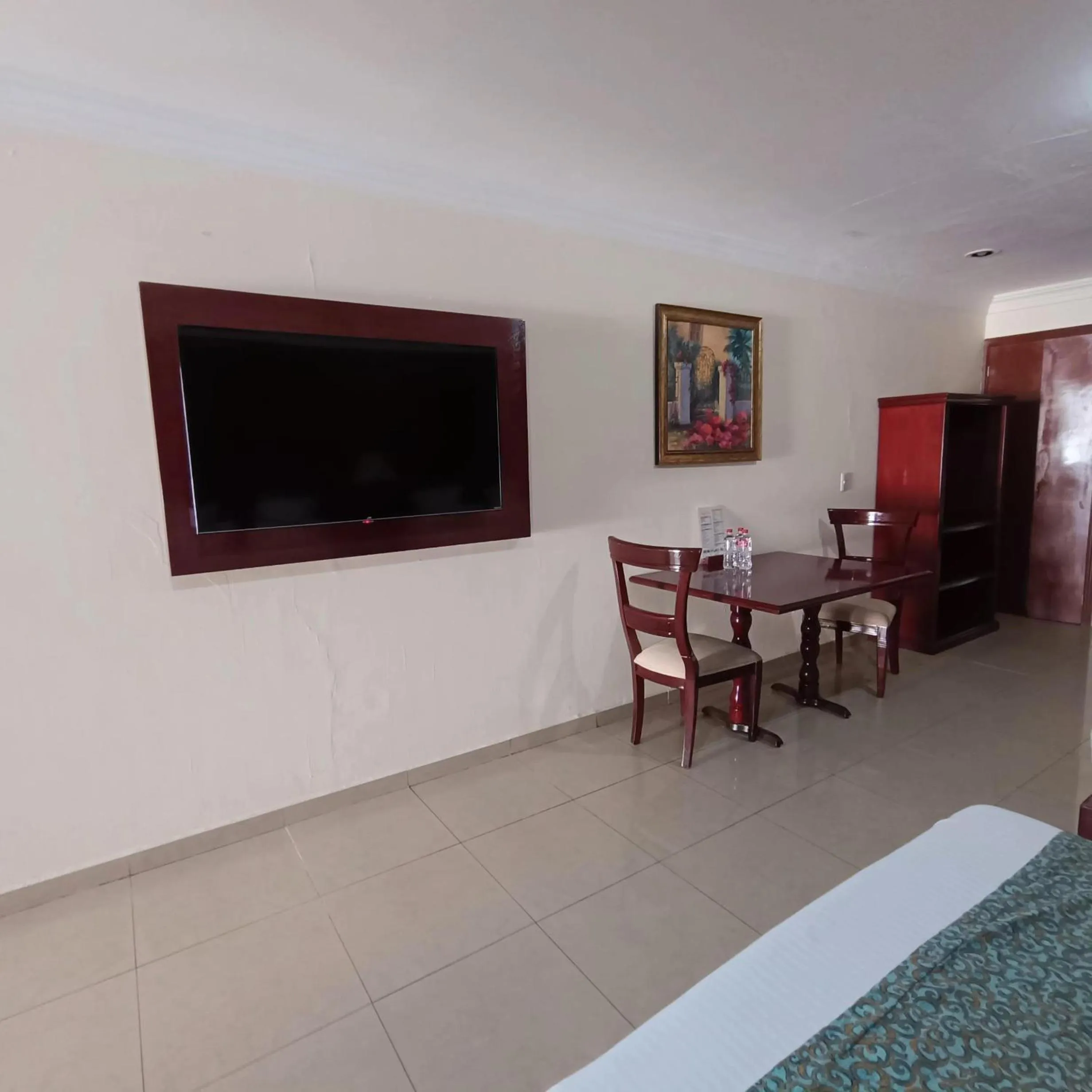 TV and multimedia in Hotel Confort Plaza