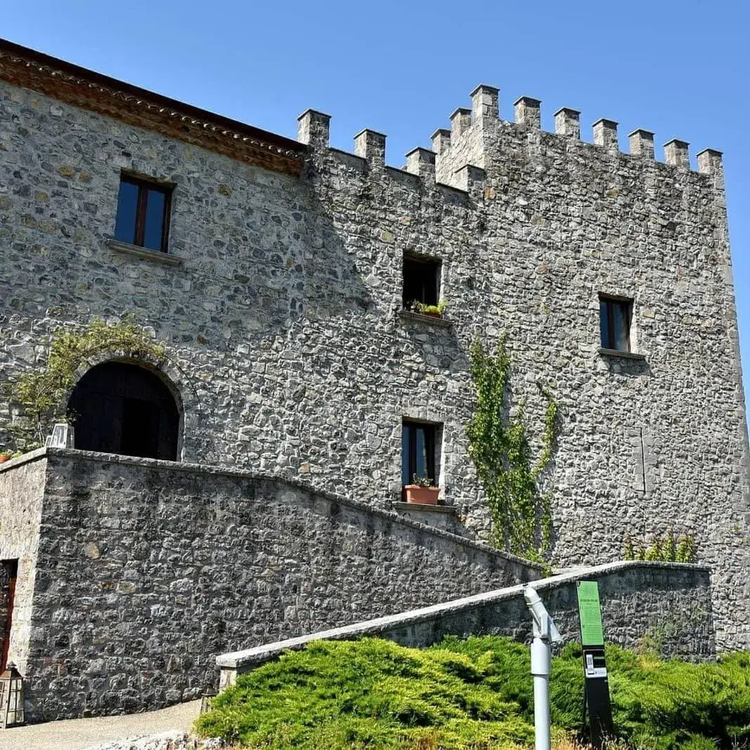 Il Castello dei Principi Sanseverino Il Castello dei Principi Sanseverino