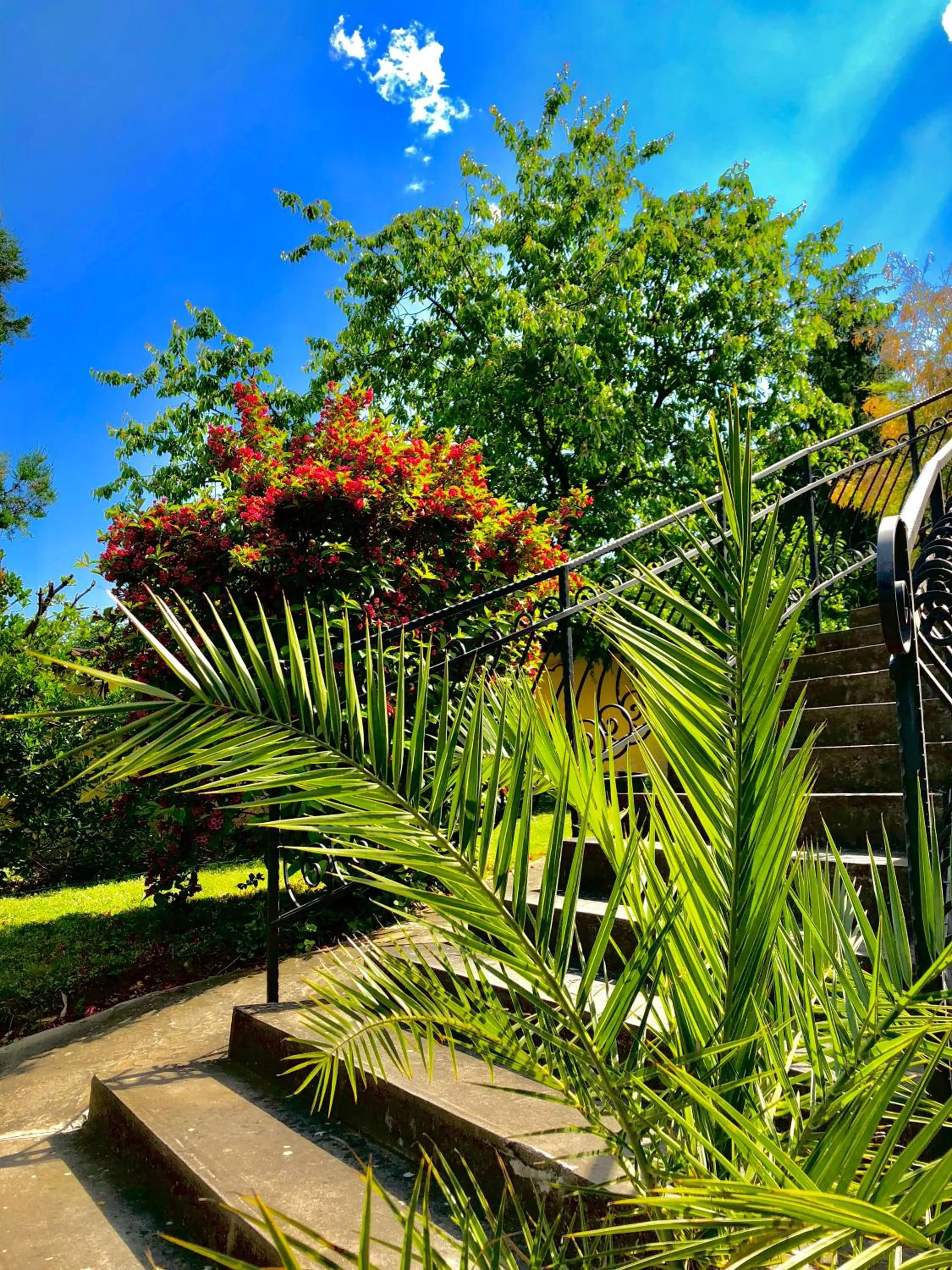 Garden in Appartementhaus 5. Jahreszeit