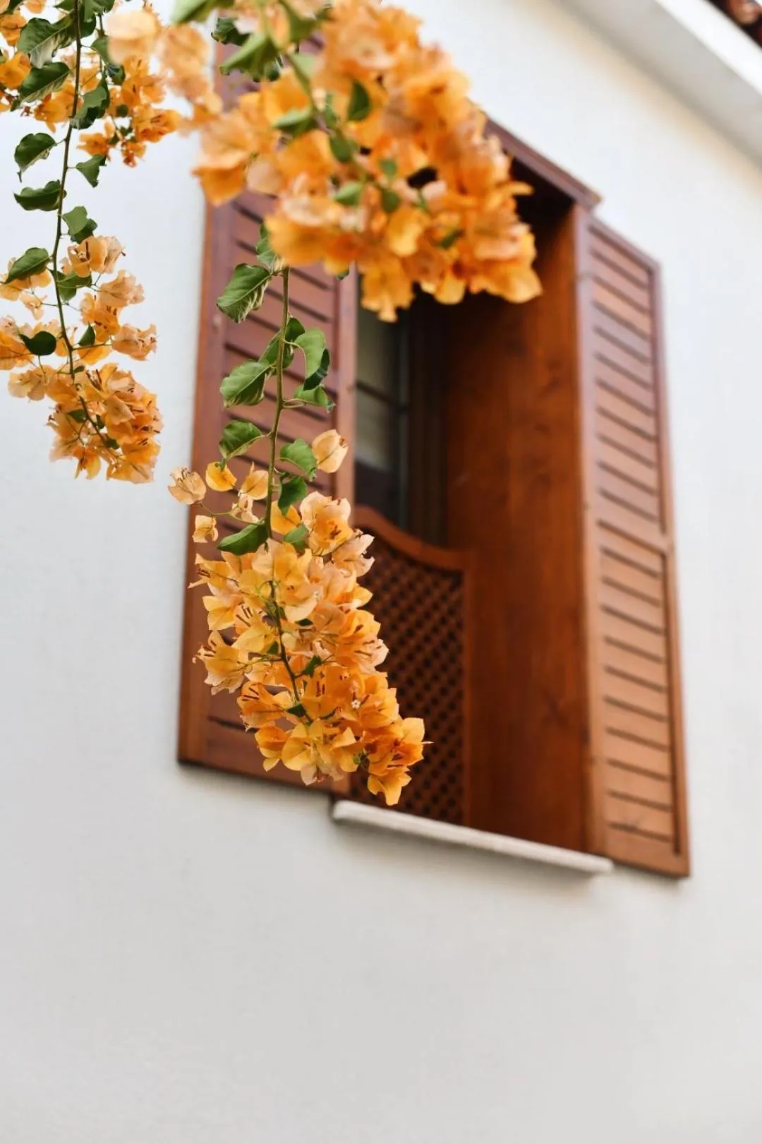 Day in Villa Ephesus Hotel