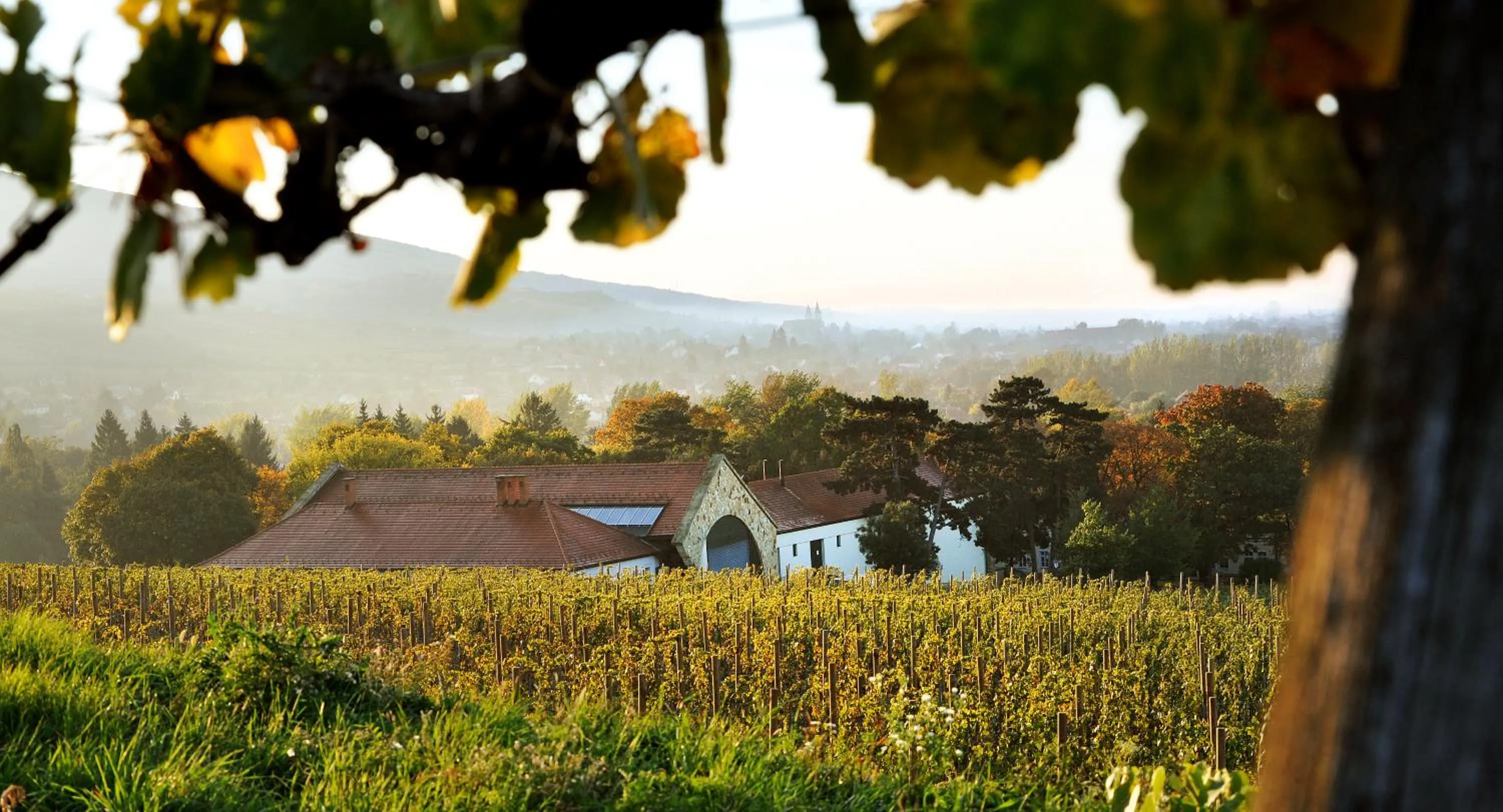 Natural landscape in Castle Hotel Grof Degenfeld Superior