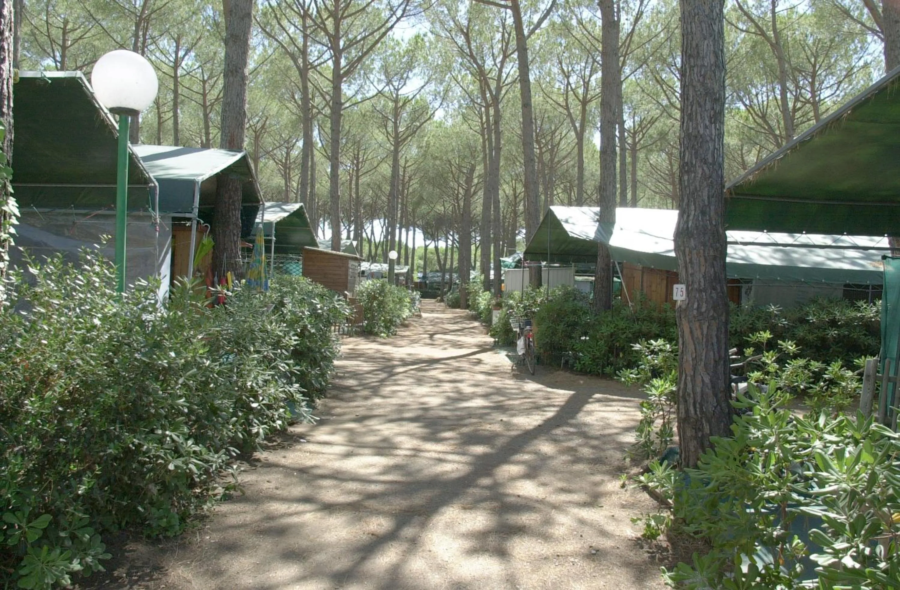On site in Camping Free Beach