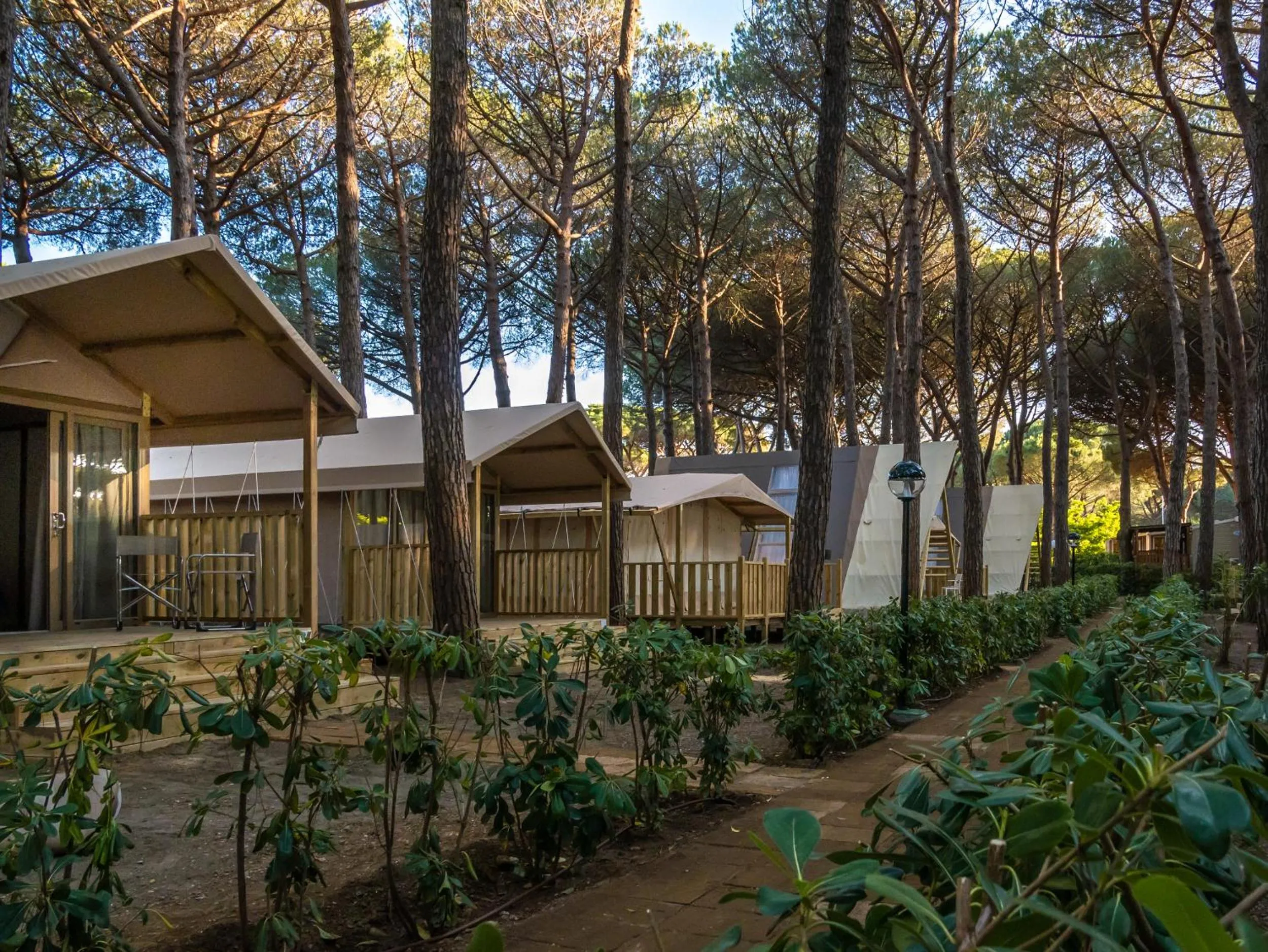 Quiet street view in Camping Free Beach