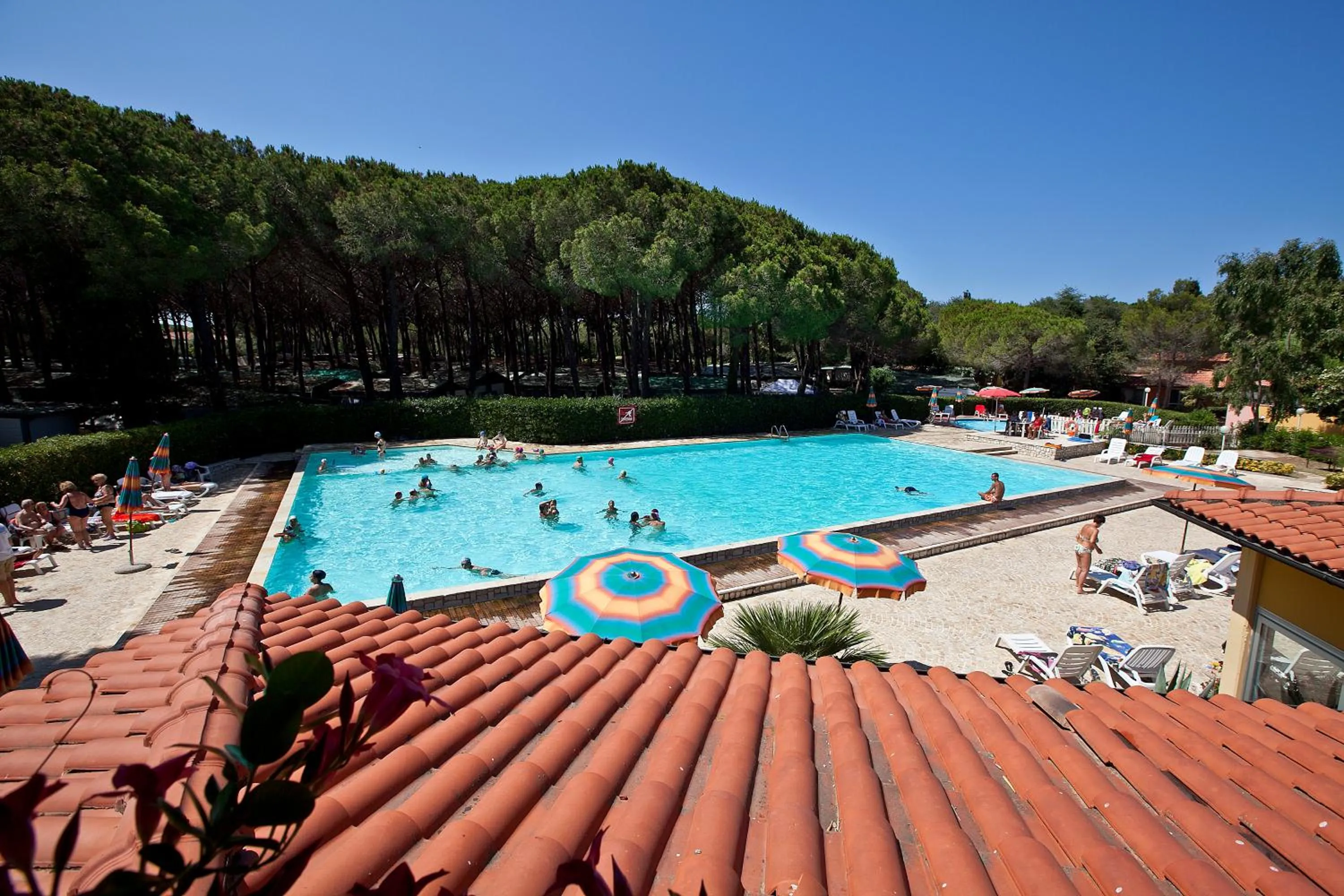 Swimming pool in Camping Free Beach