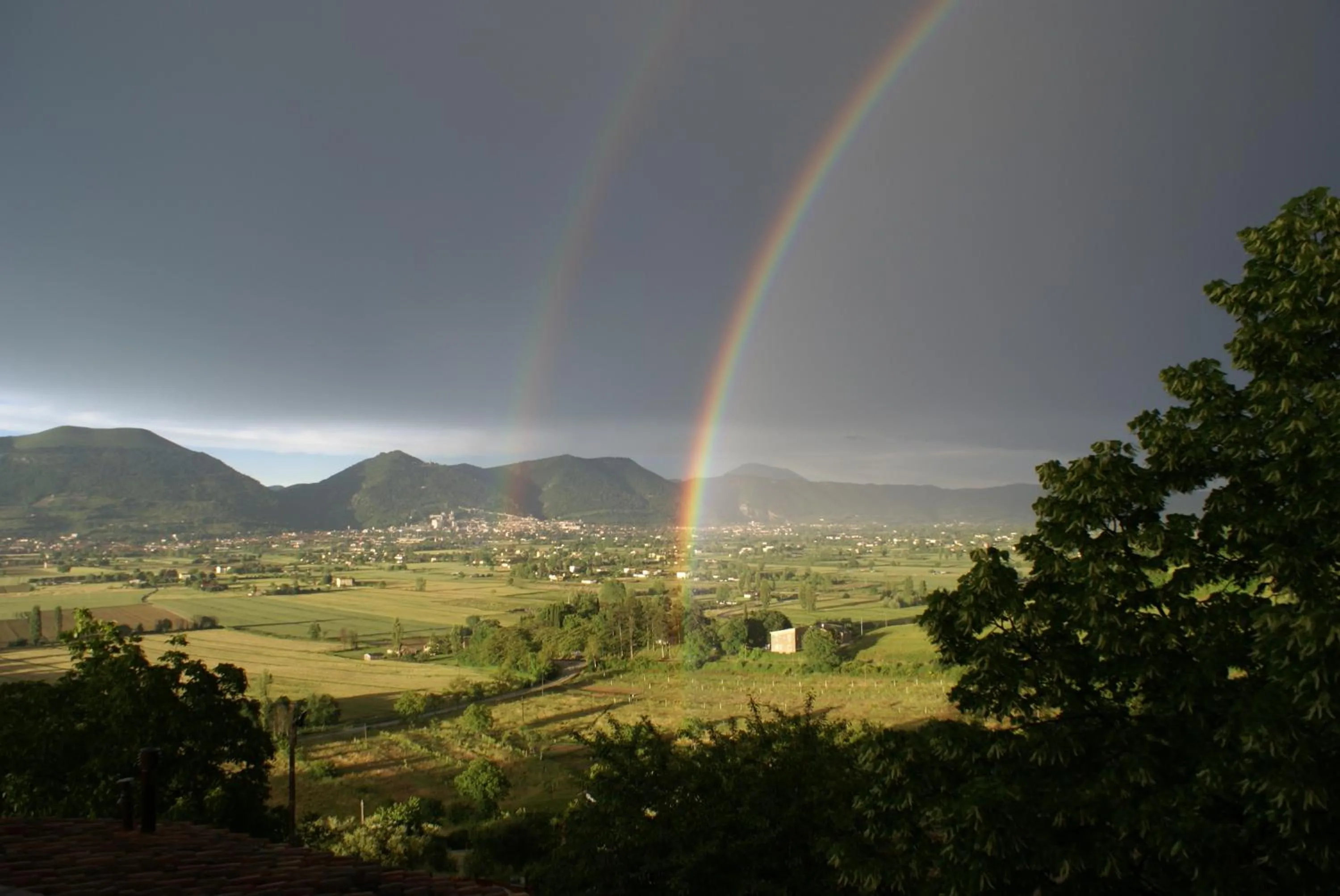 View (from property/room) in Fonte Chiara