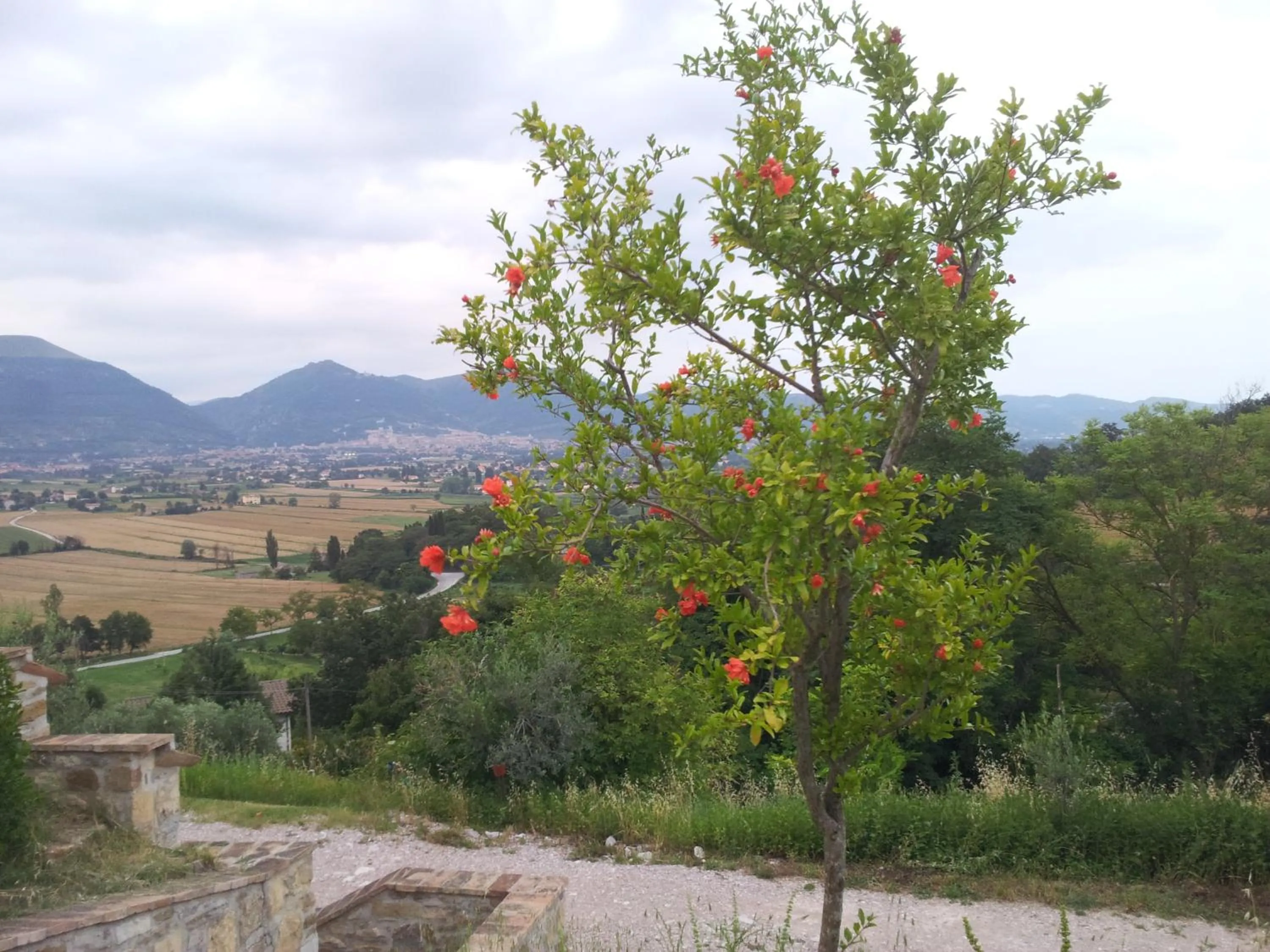 Garden in Fonte Chiara