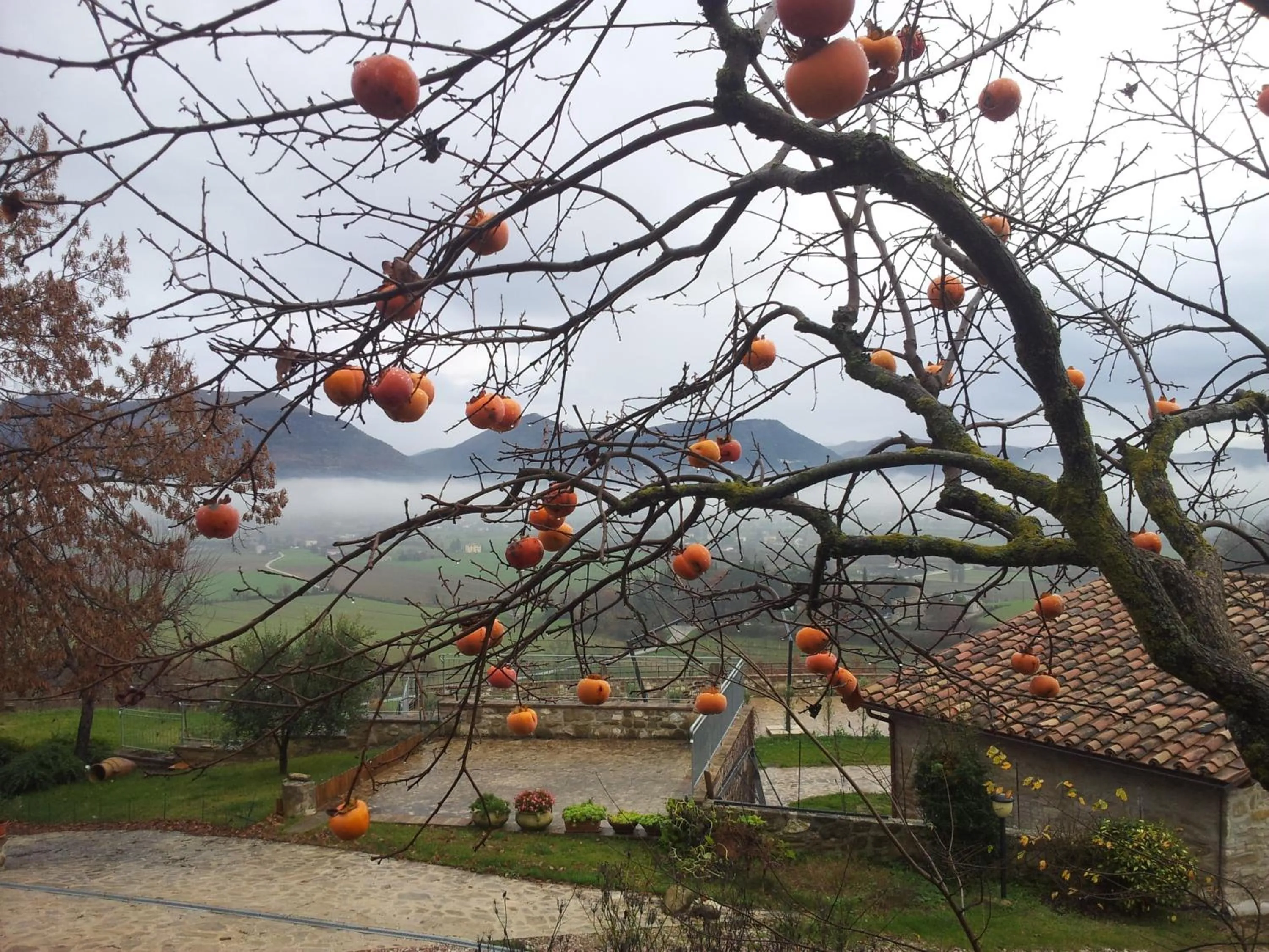 Garden view in Fonte Chiara