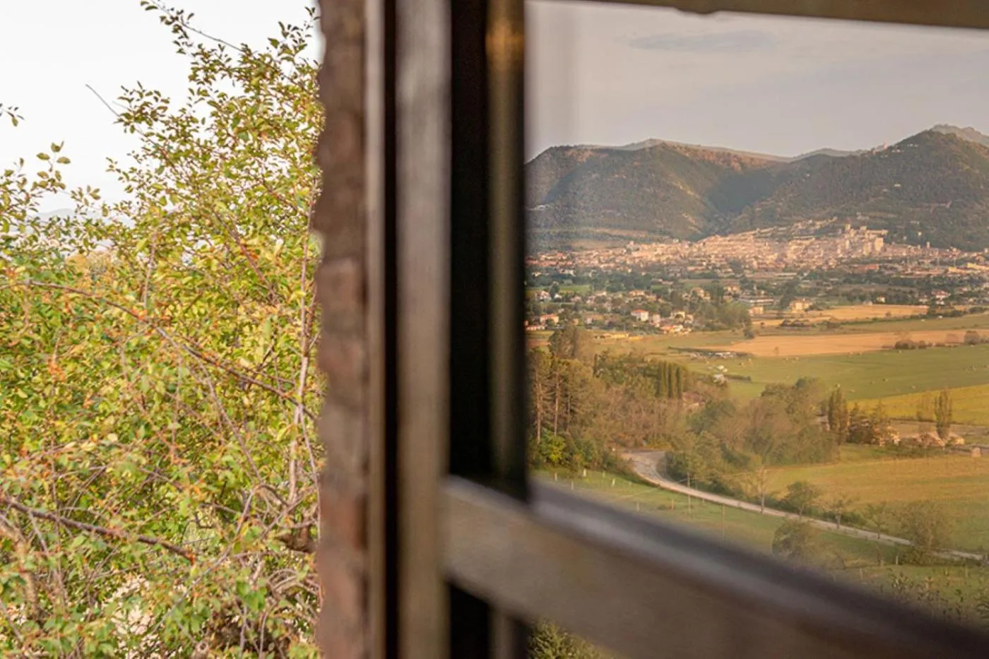 View (from property/room) in Fonte Chiara