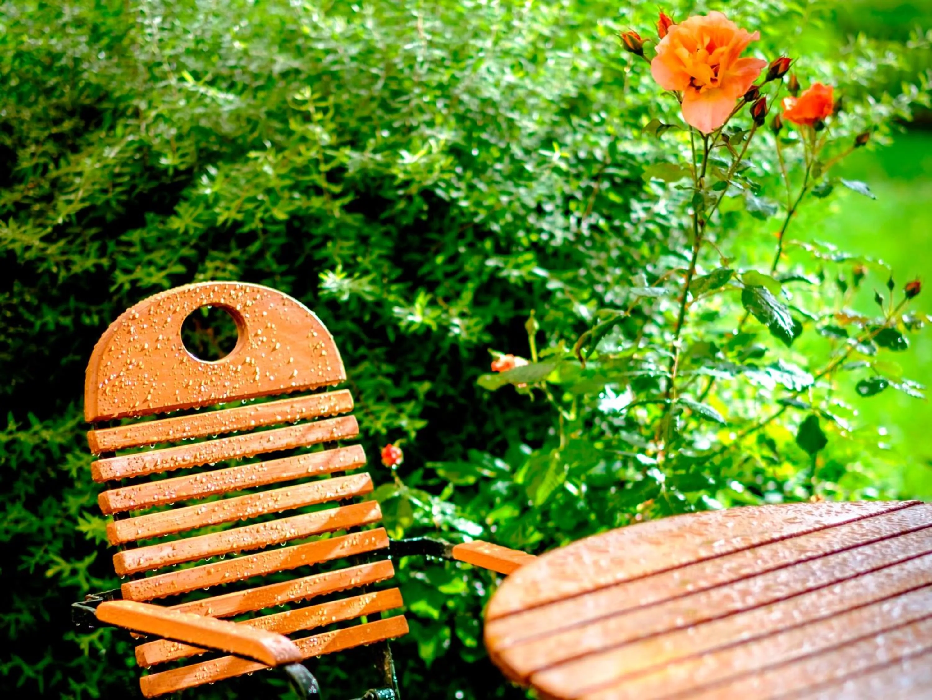Balcony/Terrace in Klostergasthof Raitenhaslach