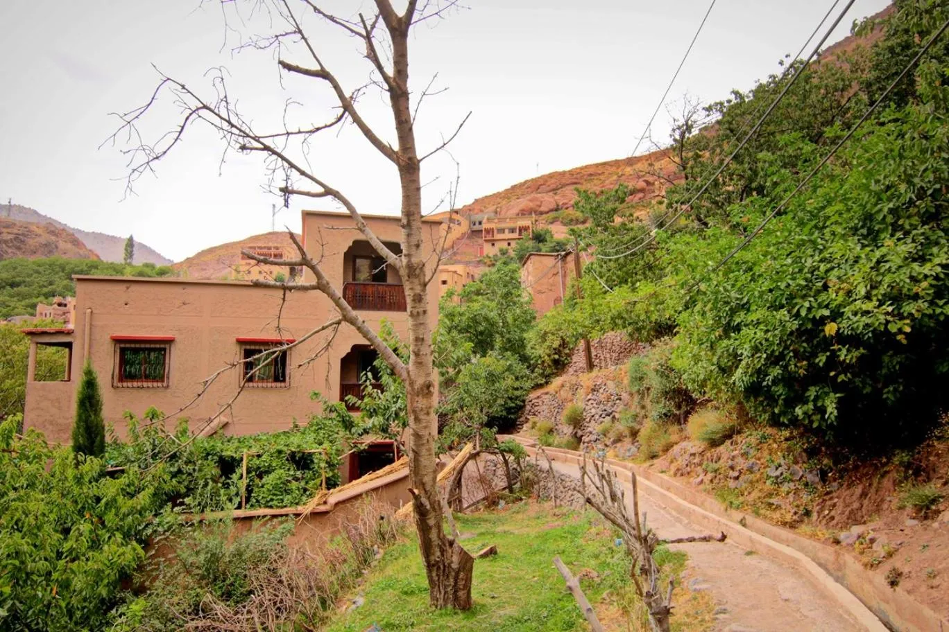 Property building in Jnane Karma