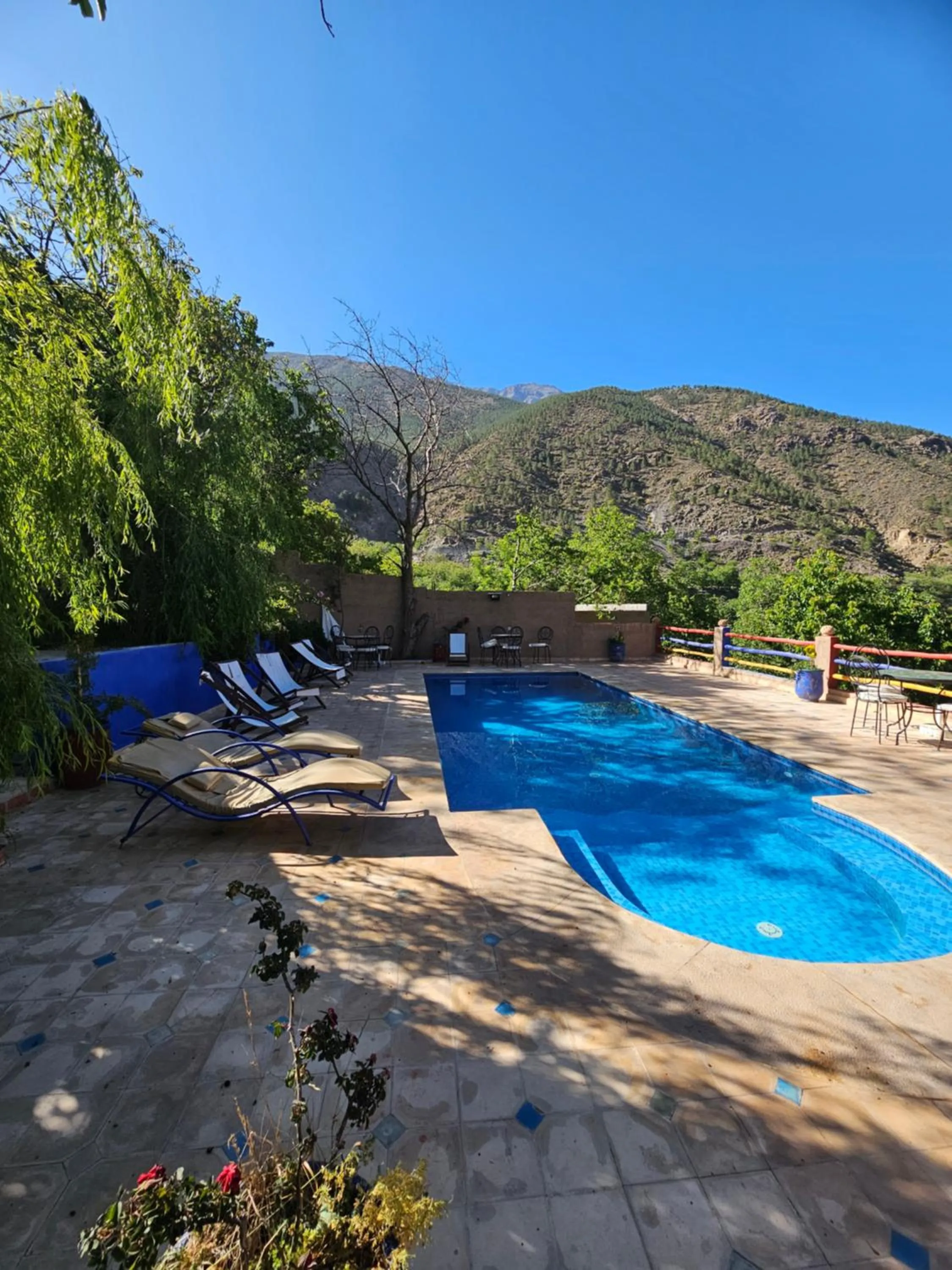 Pool view in Jnane Karma