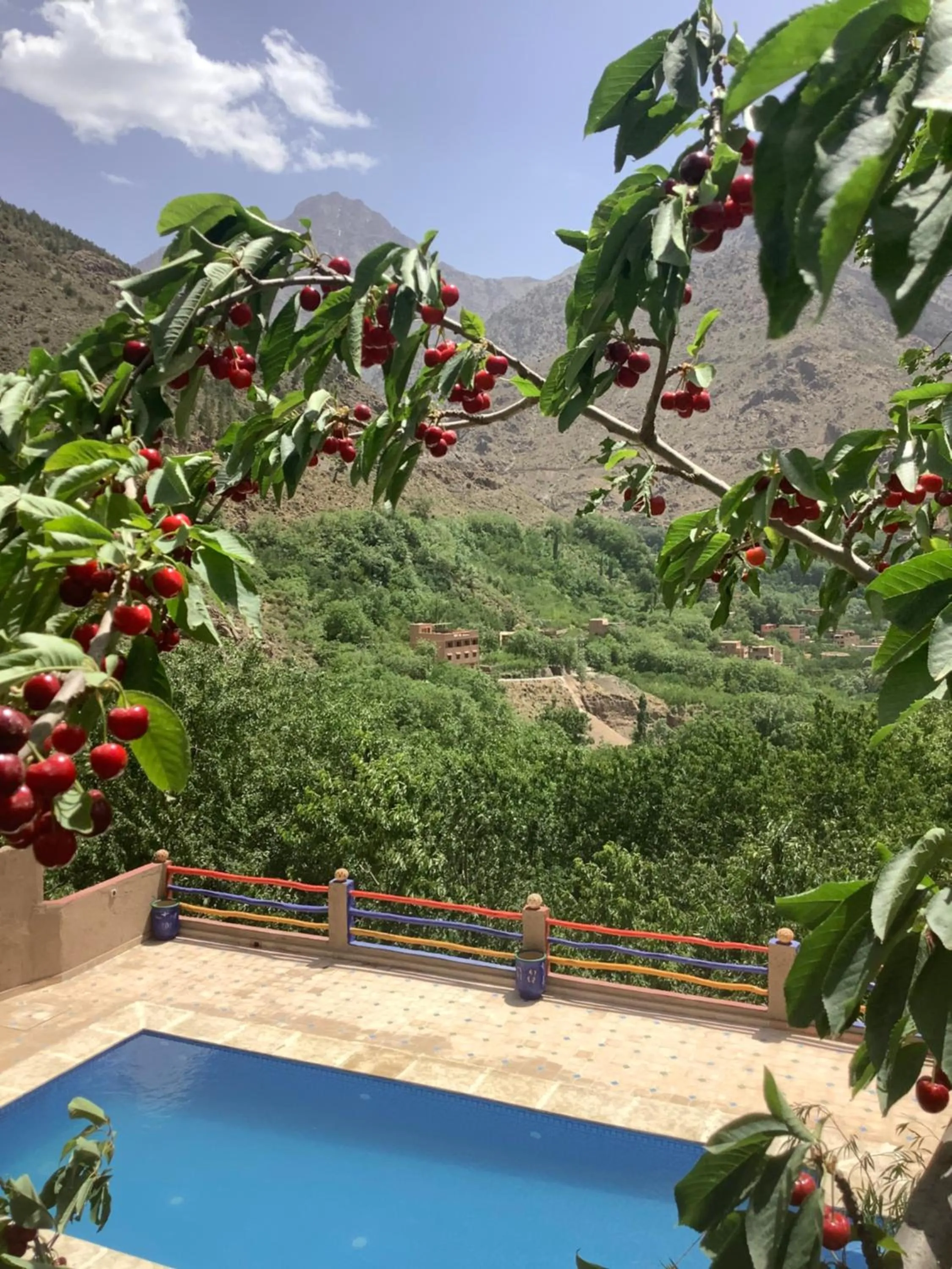 Pool view in Jnane Karma