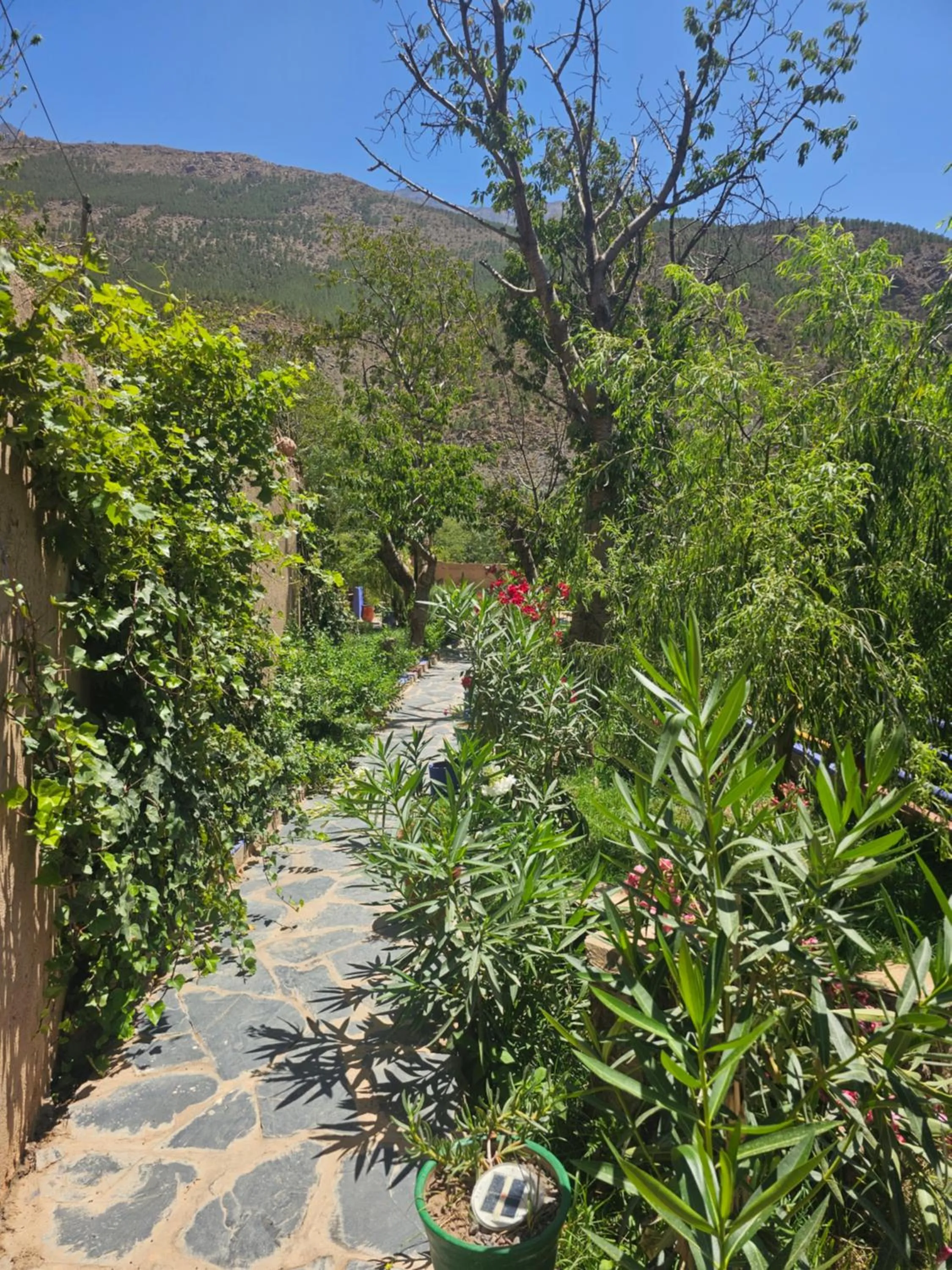 Garden in Jnane Karma