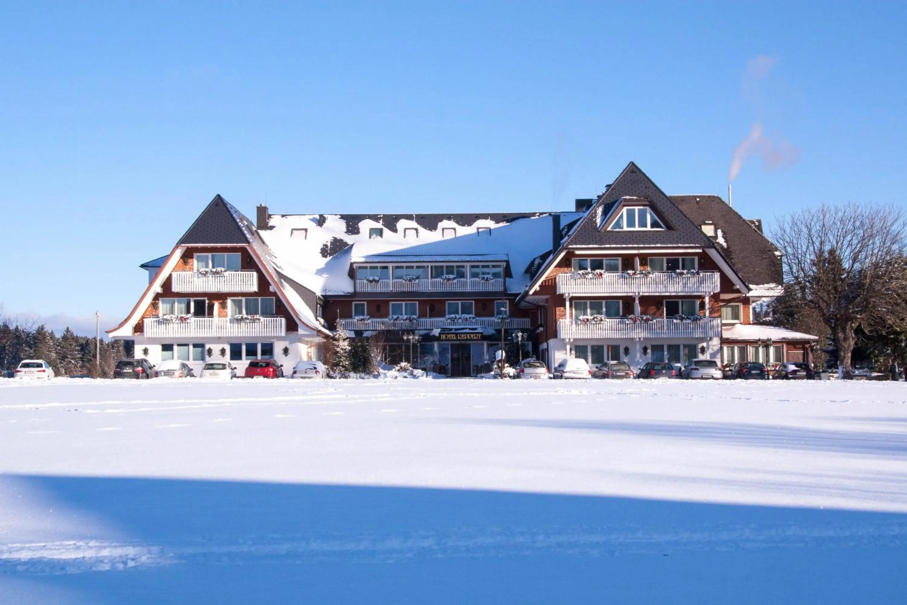 Property building in Hotel Reppert