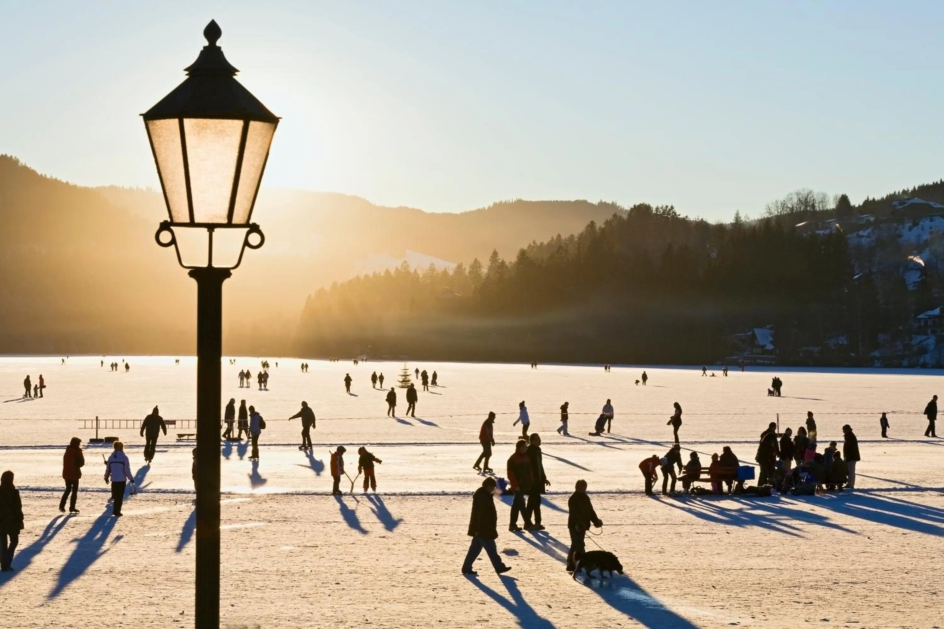 Natural landscape in Hotel Reppert