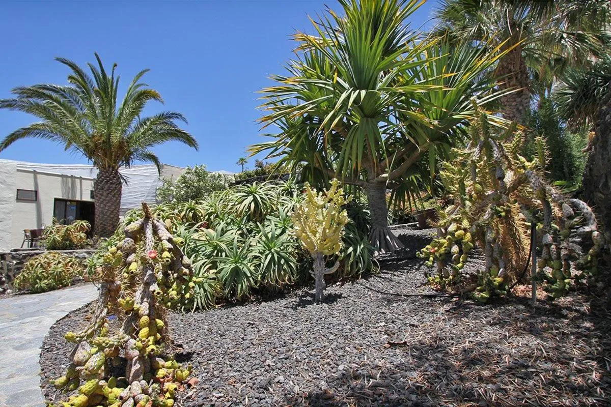 Garden in Bungalow Moijama el Drago
