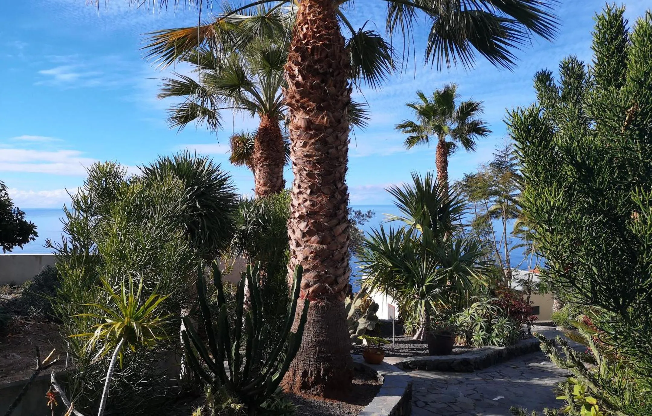 Inner courtyard view in Bungalow Moijama el Drago