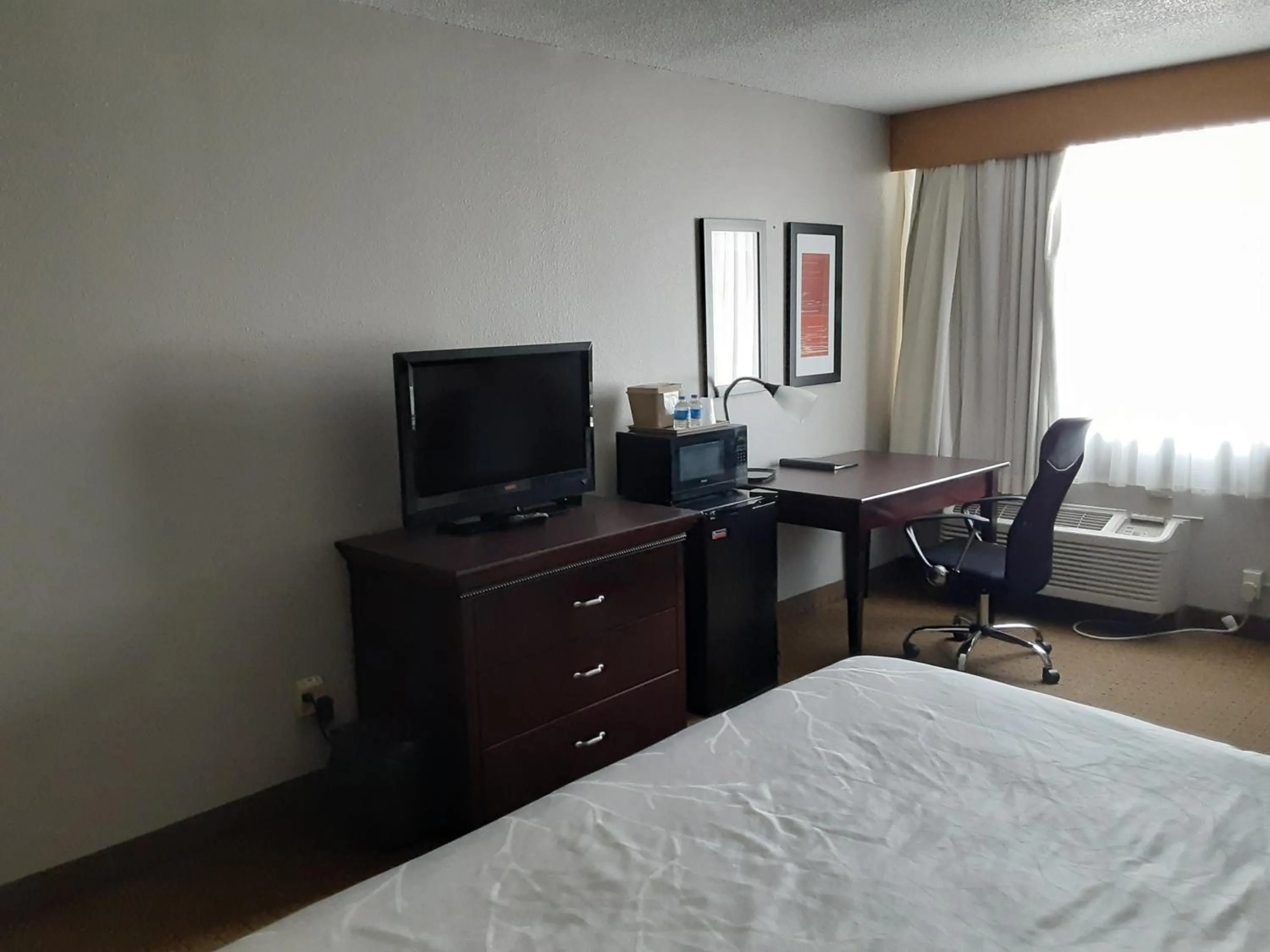 Photo of the whole room in The Dakota