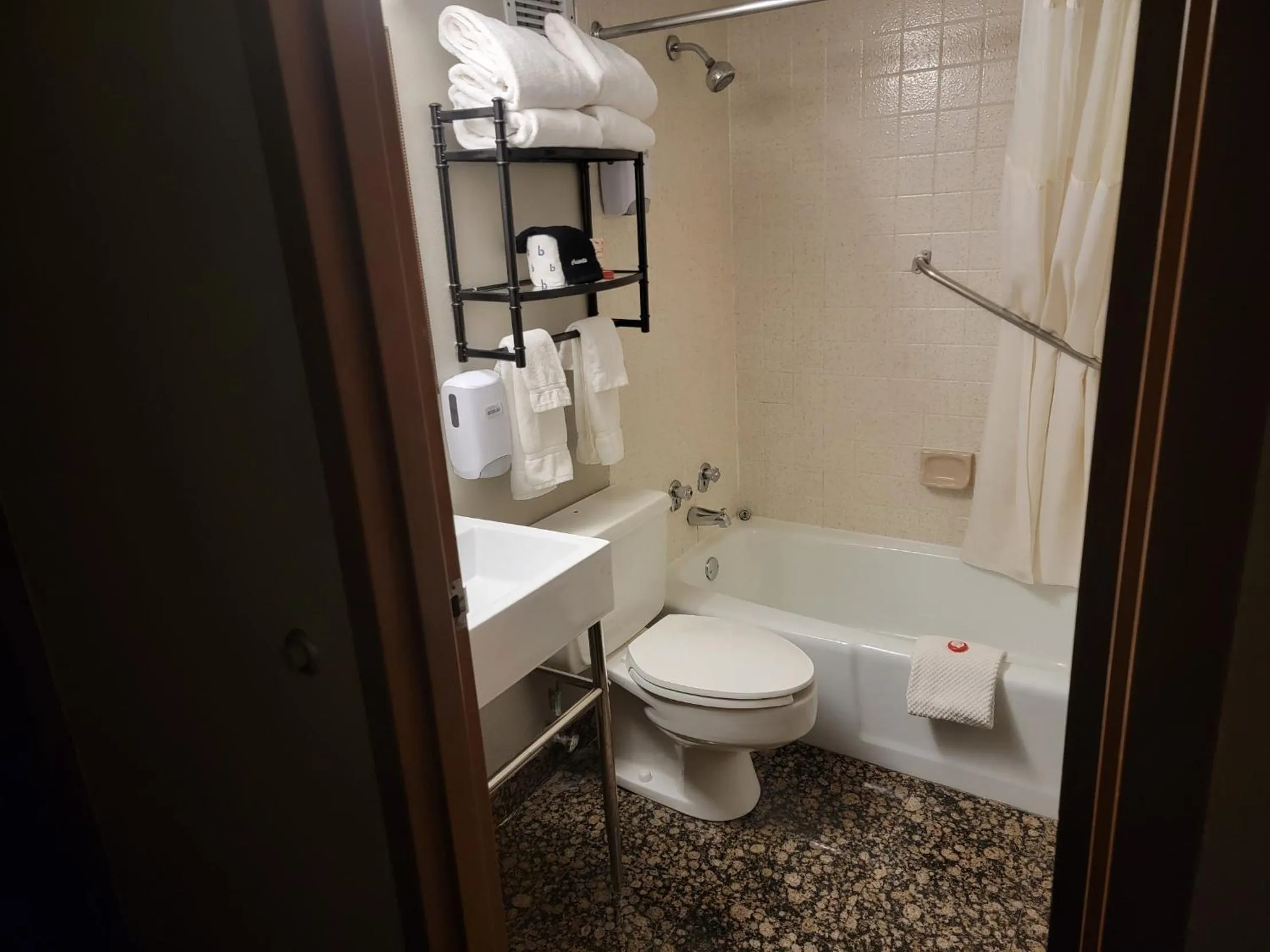 Toilet in The Dakota