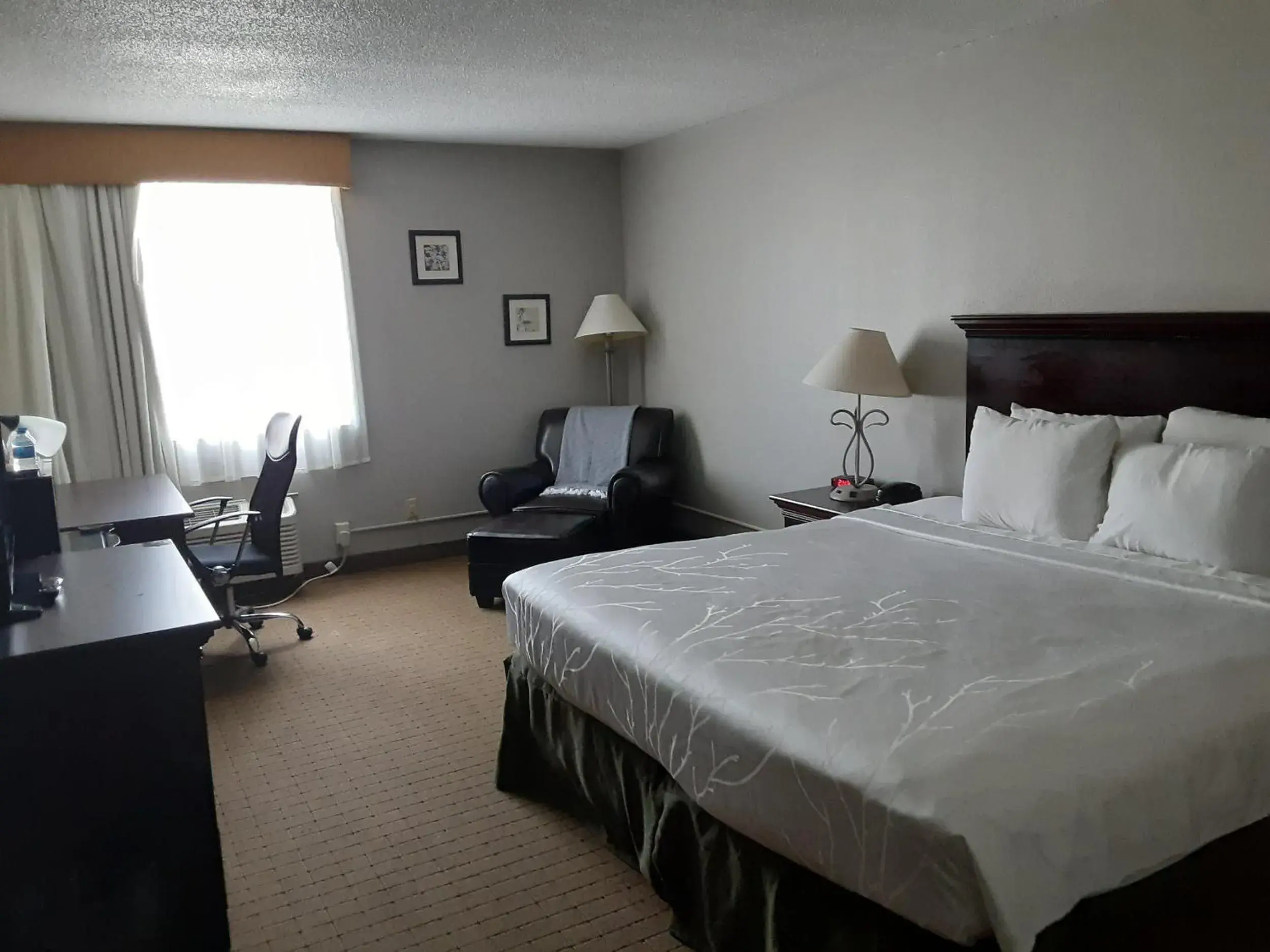 King Room in The Dakota King Room in The Dakota