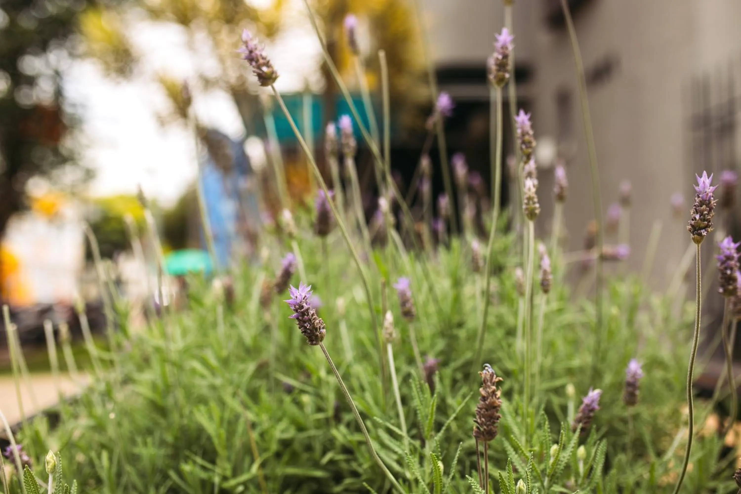 Esquina Batel - Hotel Econômico