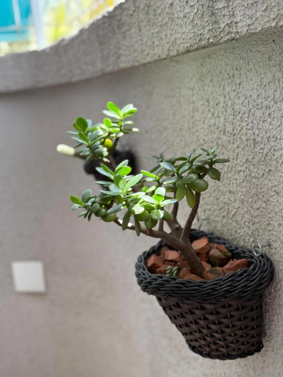 Garden in Esquina Batel - Hotel Econômico
