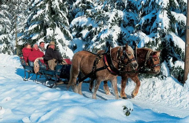 Natural landscape in Gasthof Reiner