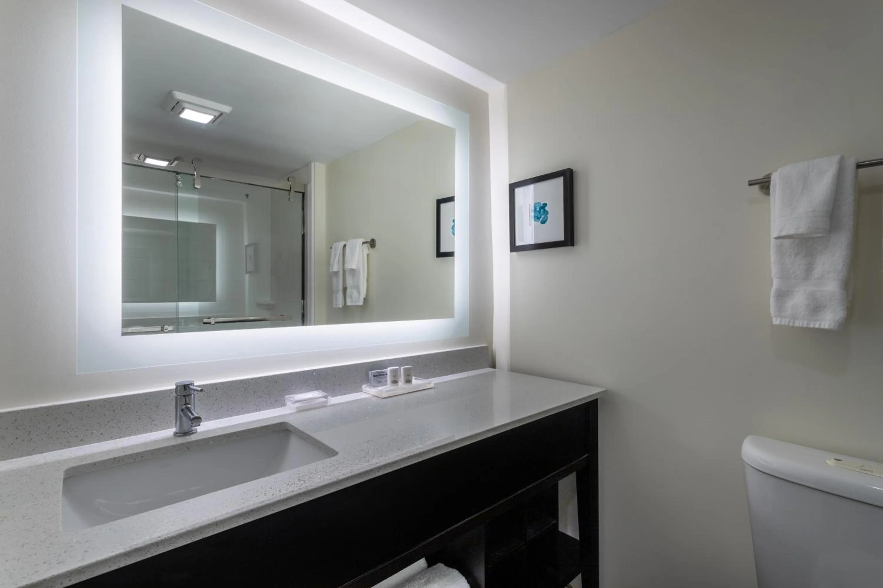 Bathroom in Holiday Inn - Tampa North by IHG