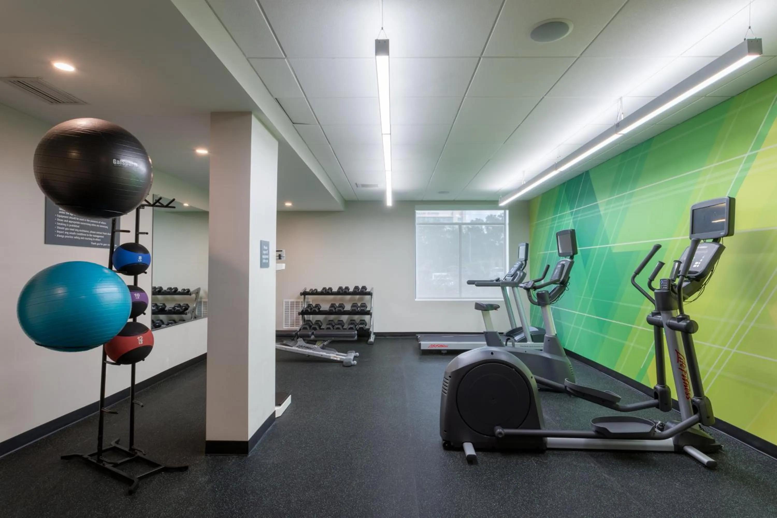 Fitness centre/facilities in Holiday Inn - Tampa North by IHG