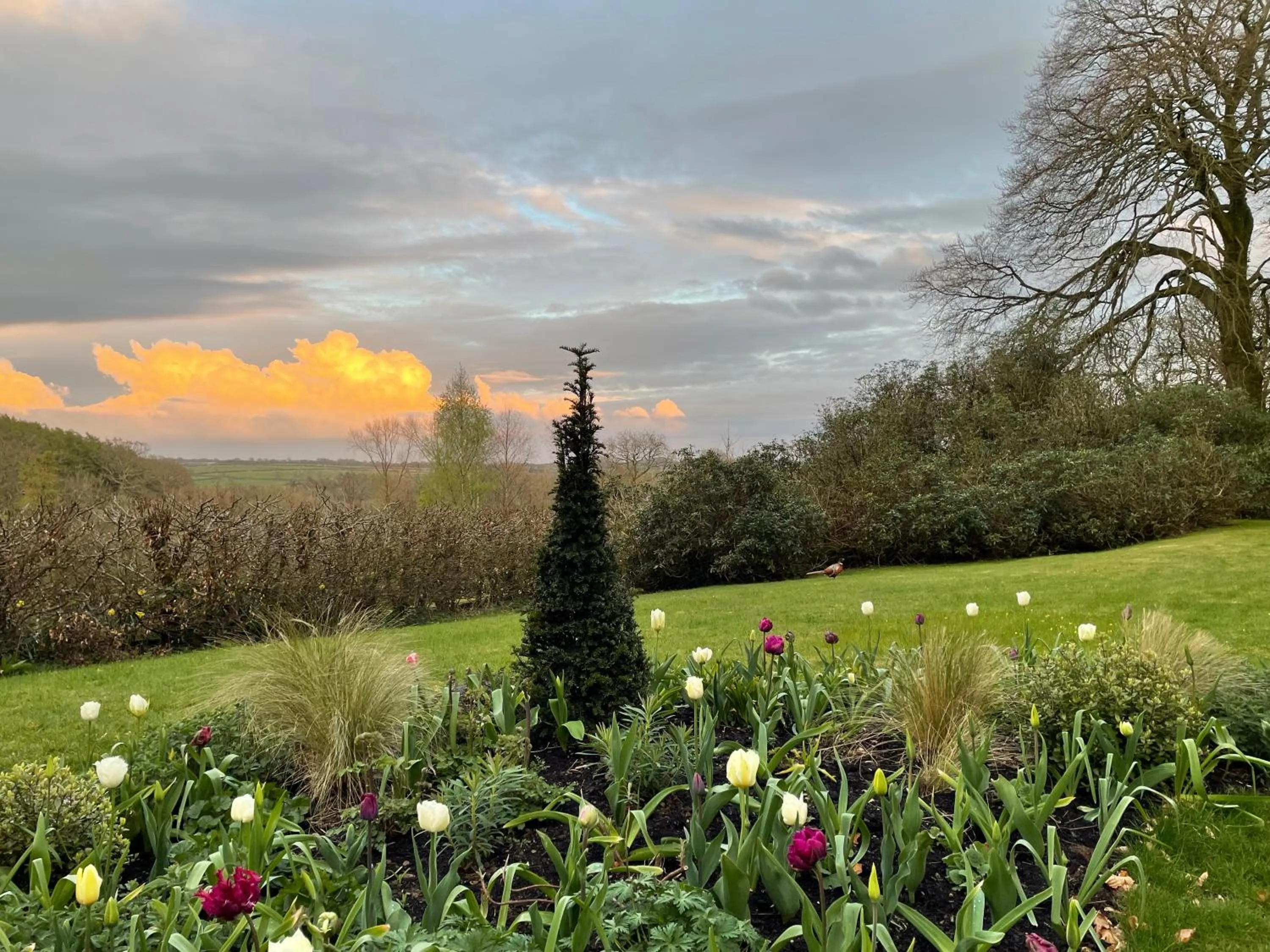 Garden in Noyadd Trefawr