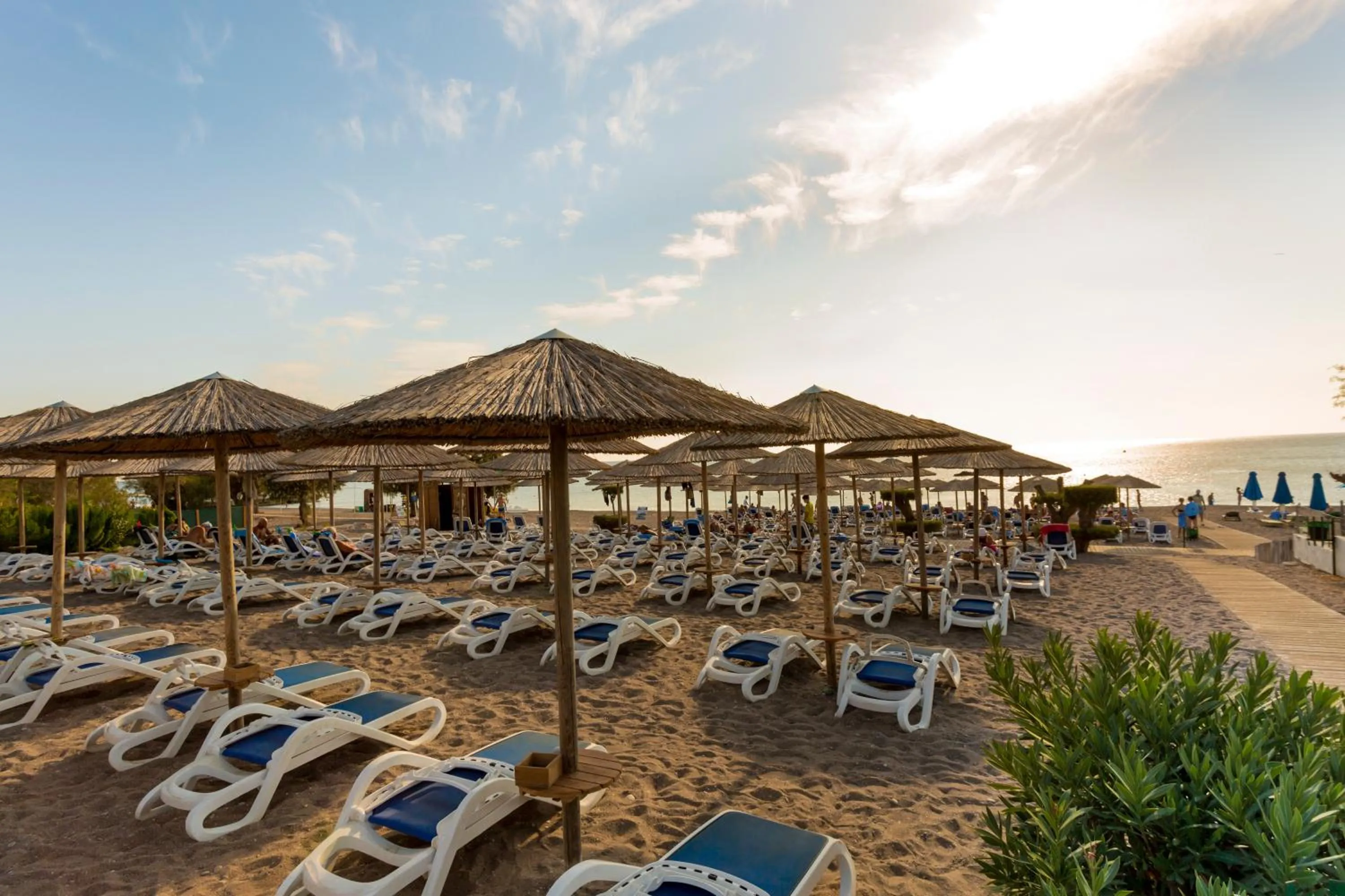 Beach in OLYMPOS BEACH HOTEL