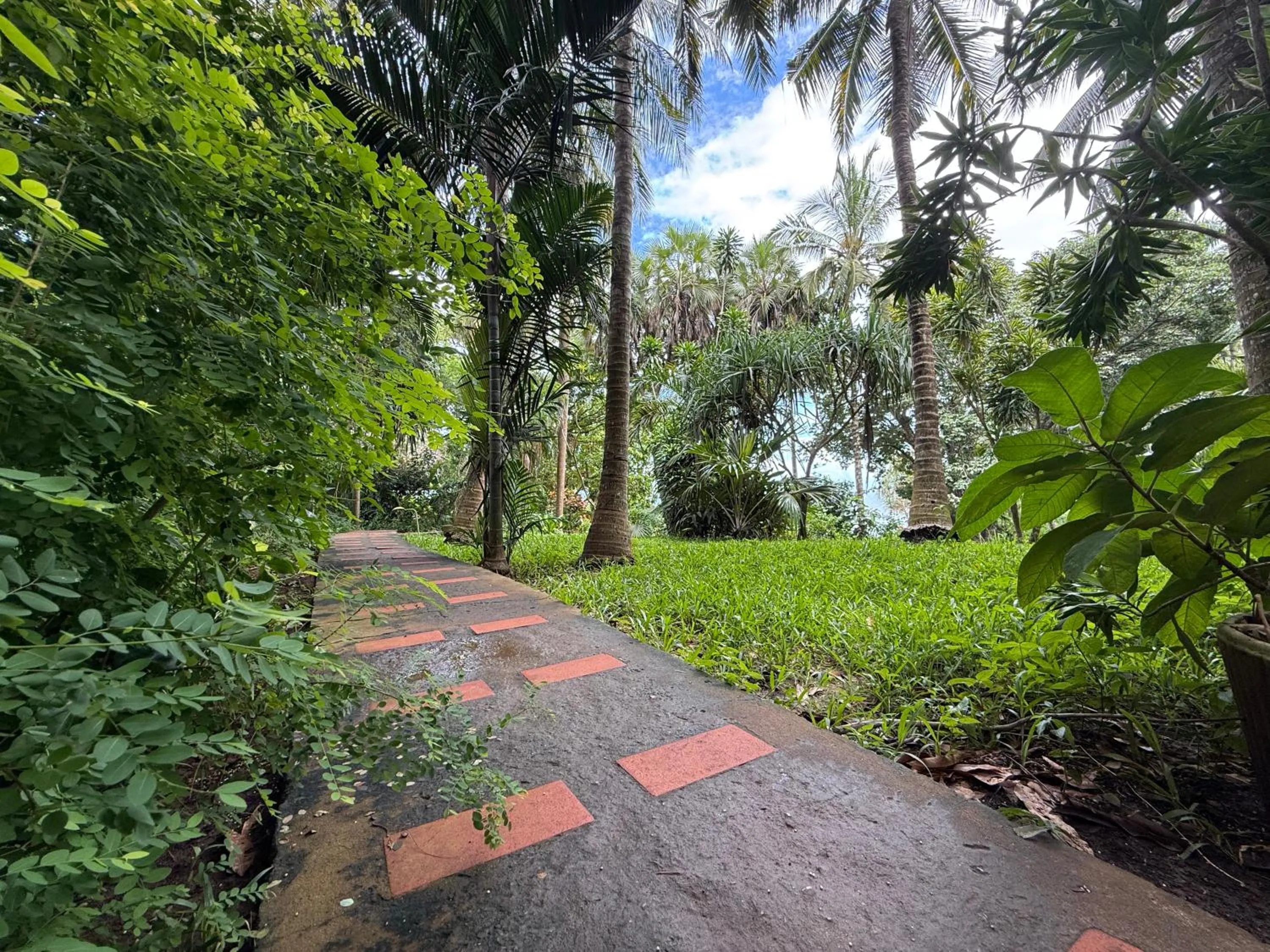 Garden in Mbweni Ruins & Gardens Previously Jungle Paradise