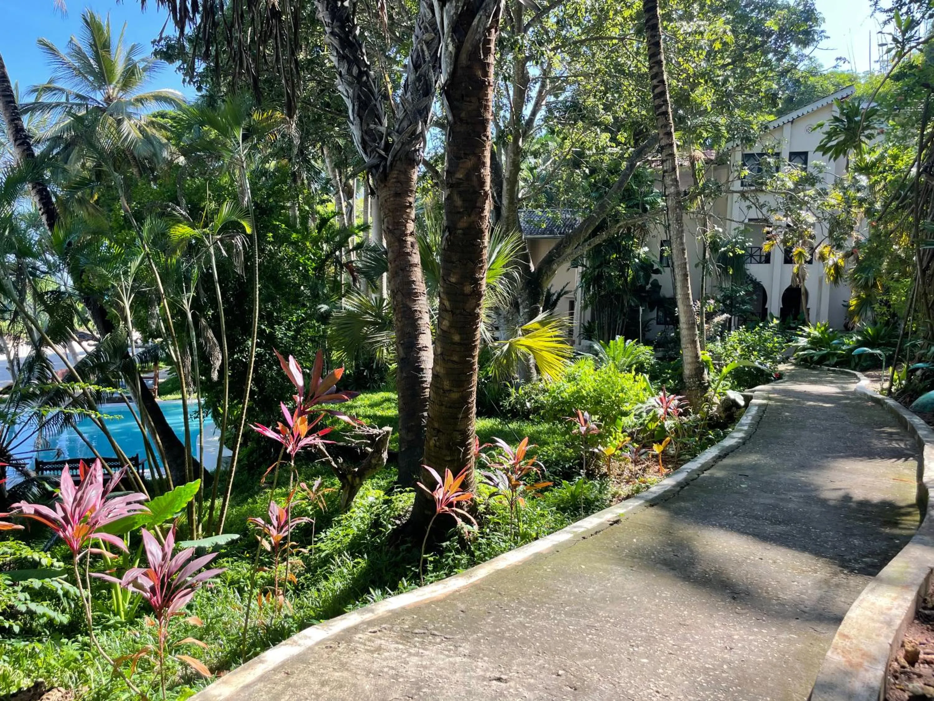 Property building in Mbweni Ruins & Gardens Previously Jungle Paradise