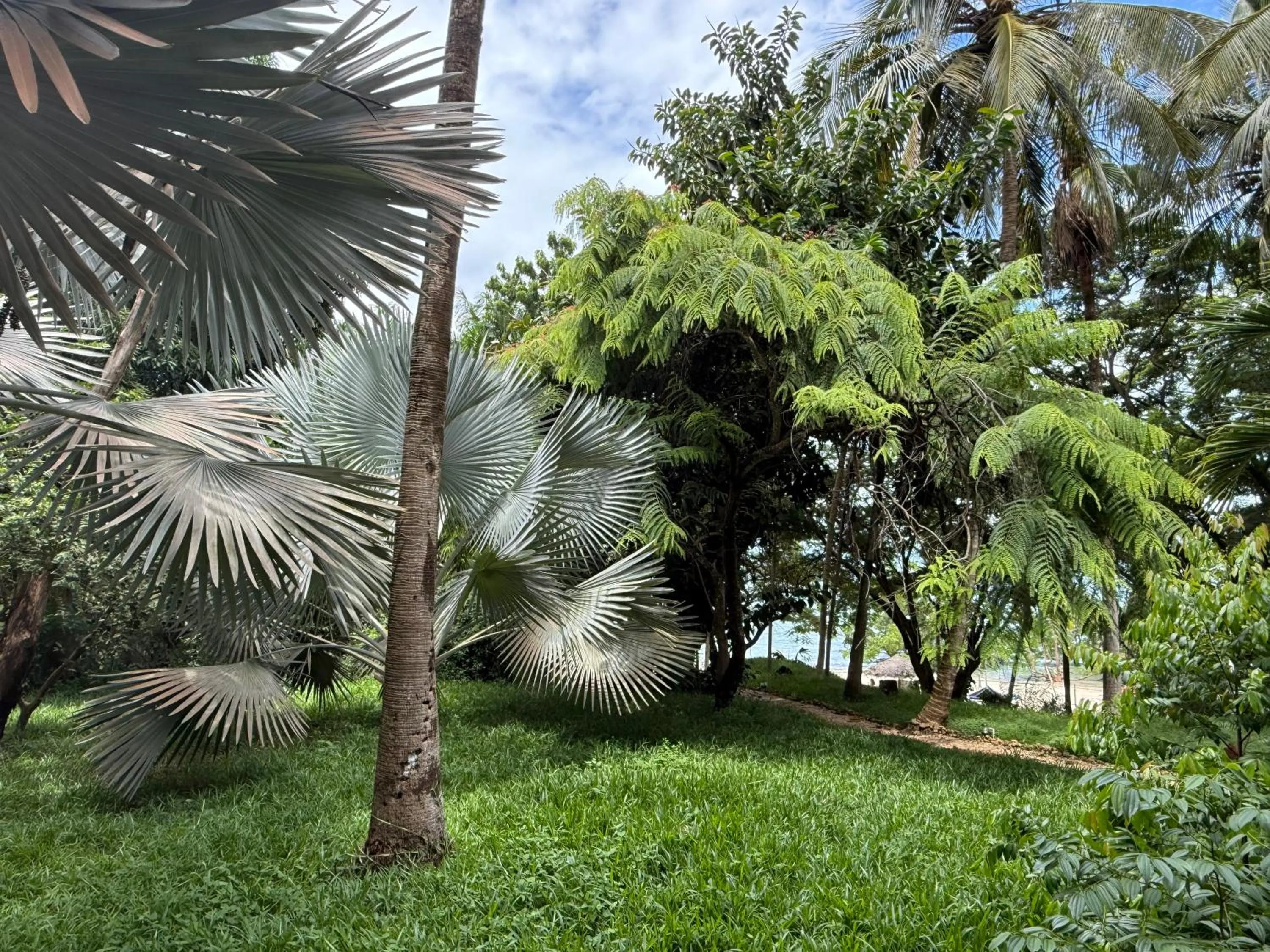 Garden in Mbweni Ruins & Gardens Previously Jungle Paradise