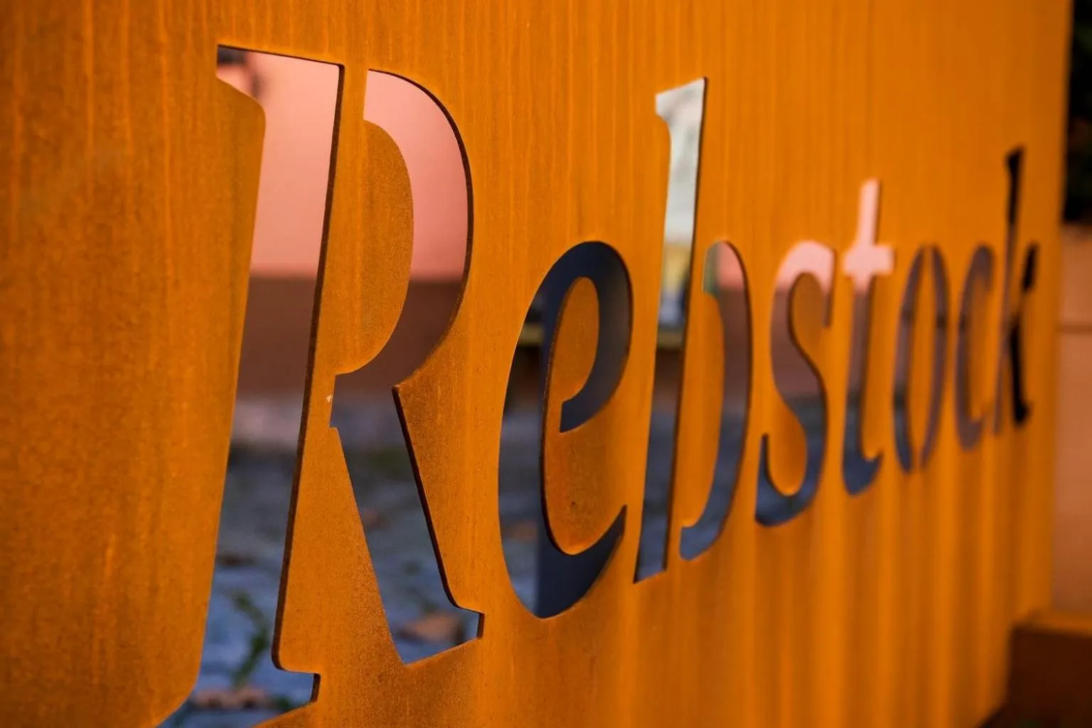 View (from property/room) in Landgasthof Hotel Rebstock