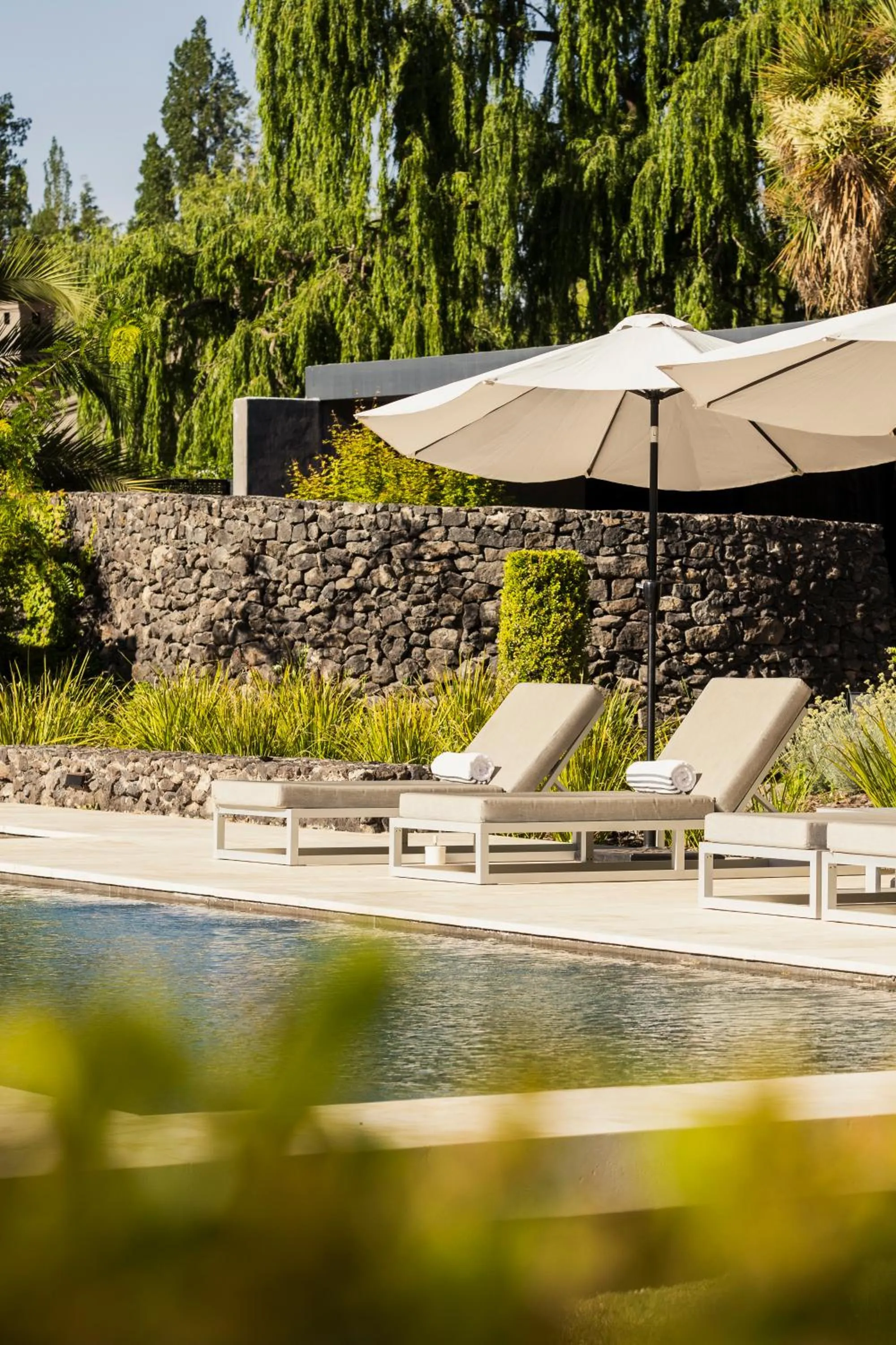 Swimming pool in Susana Balbo Winemaker's House - Relais & Chateaux