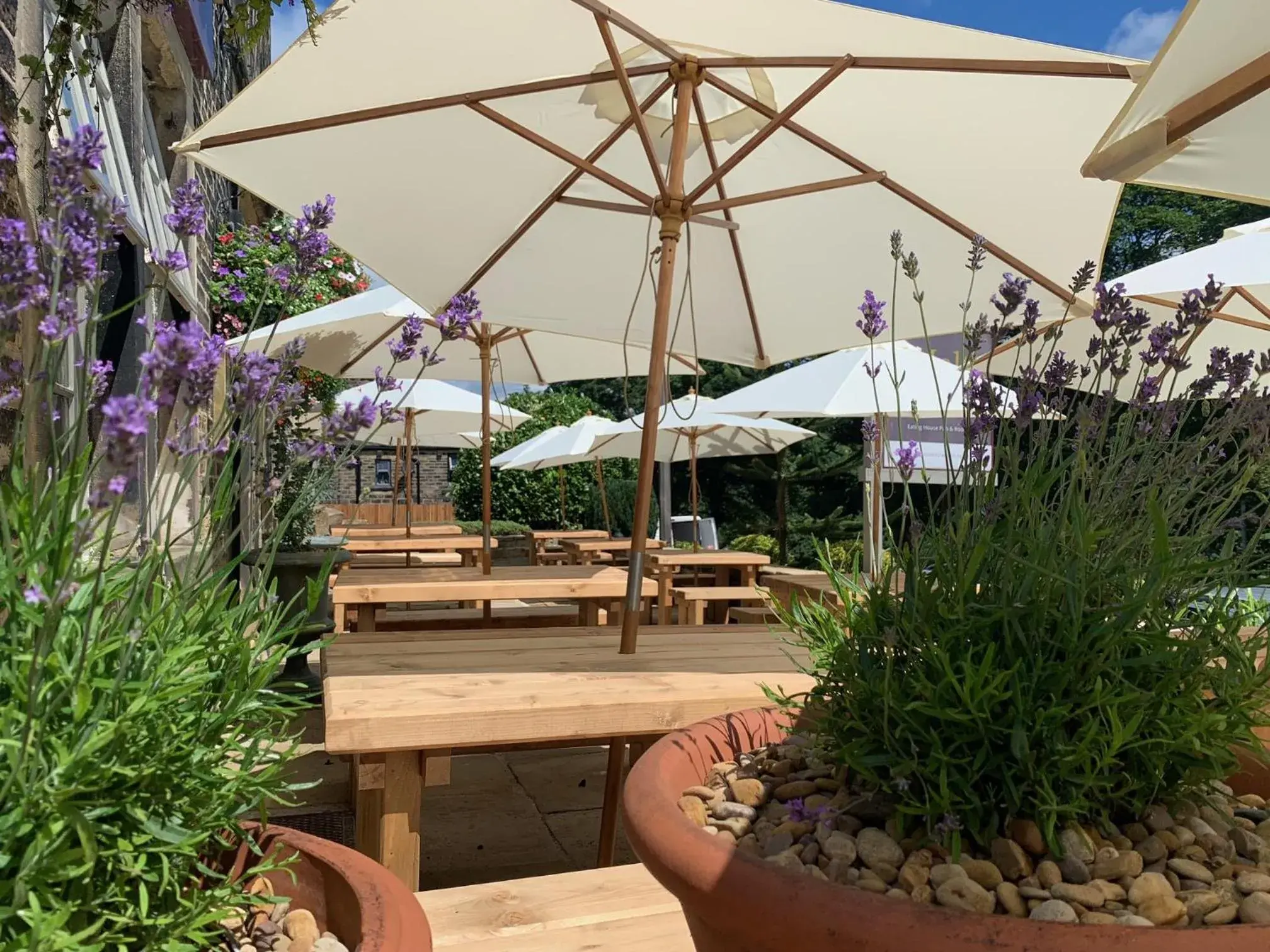 Garden in The Malthouse Garden in The Malthouse