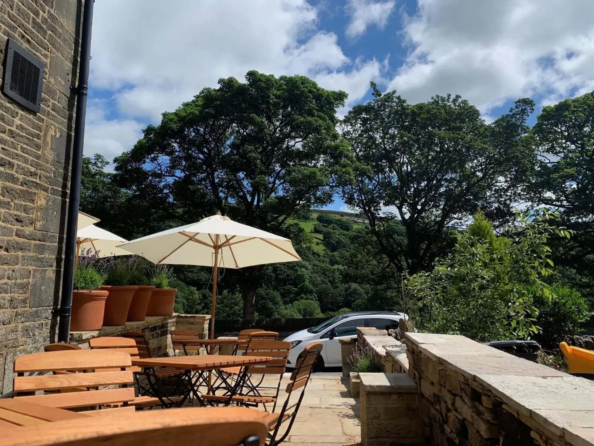 Garden in The Malthouse Garden in The Malthouse