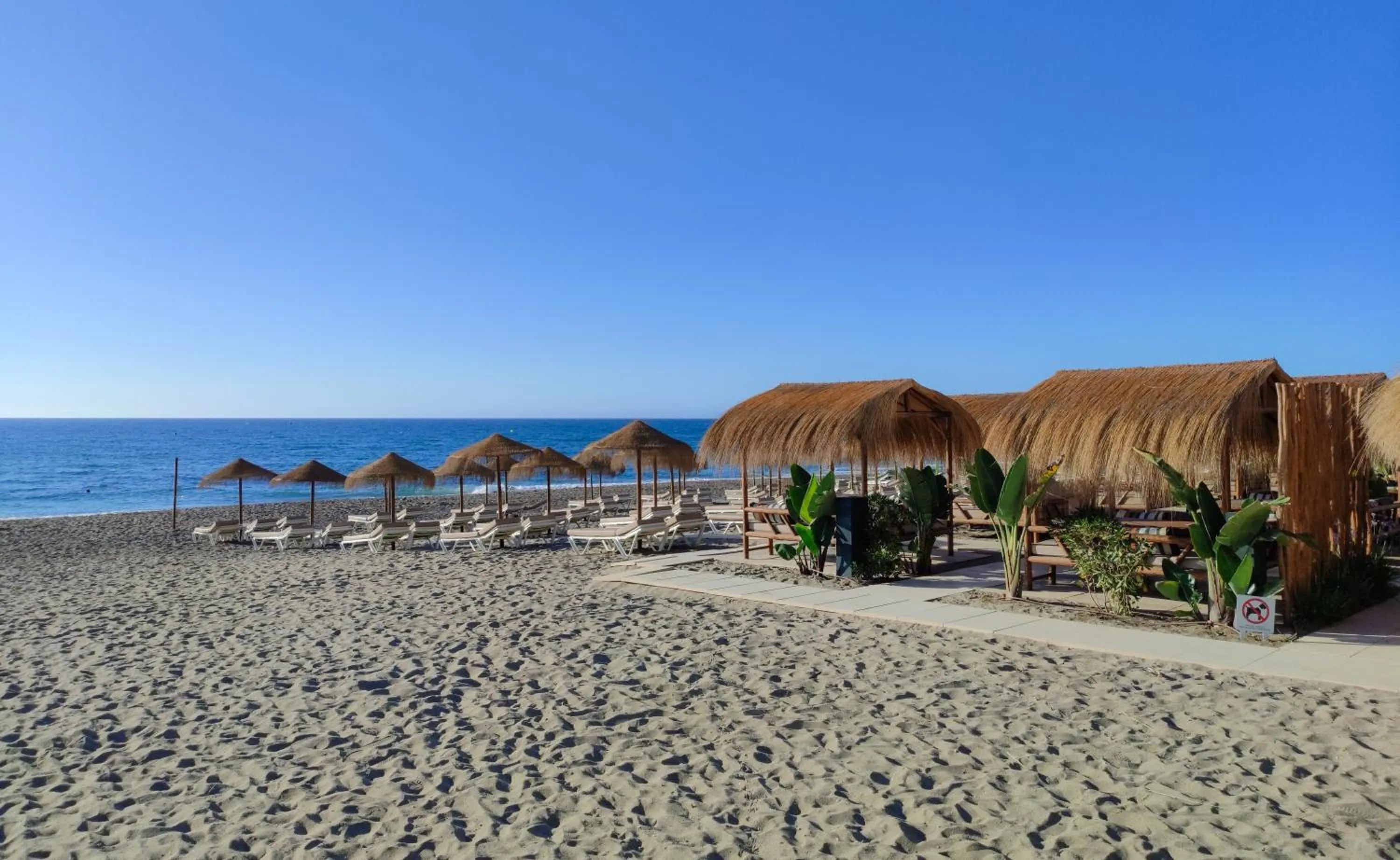 Beach in Hotel Perla del Sur
