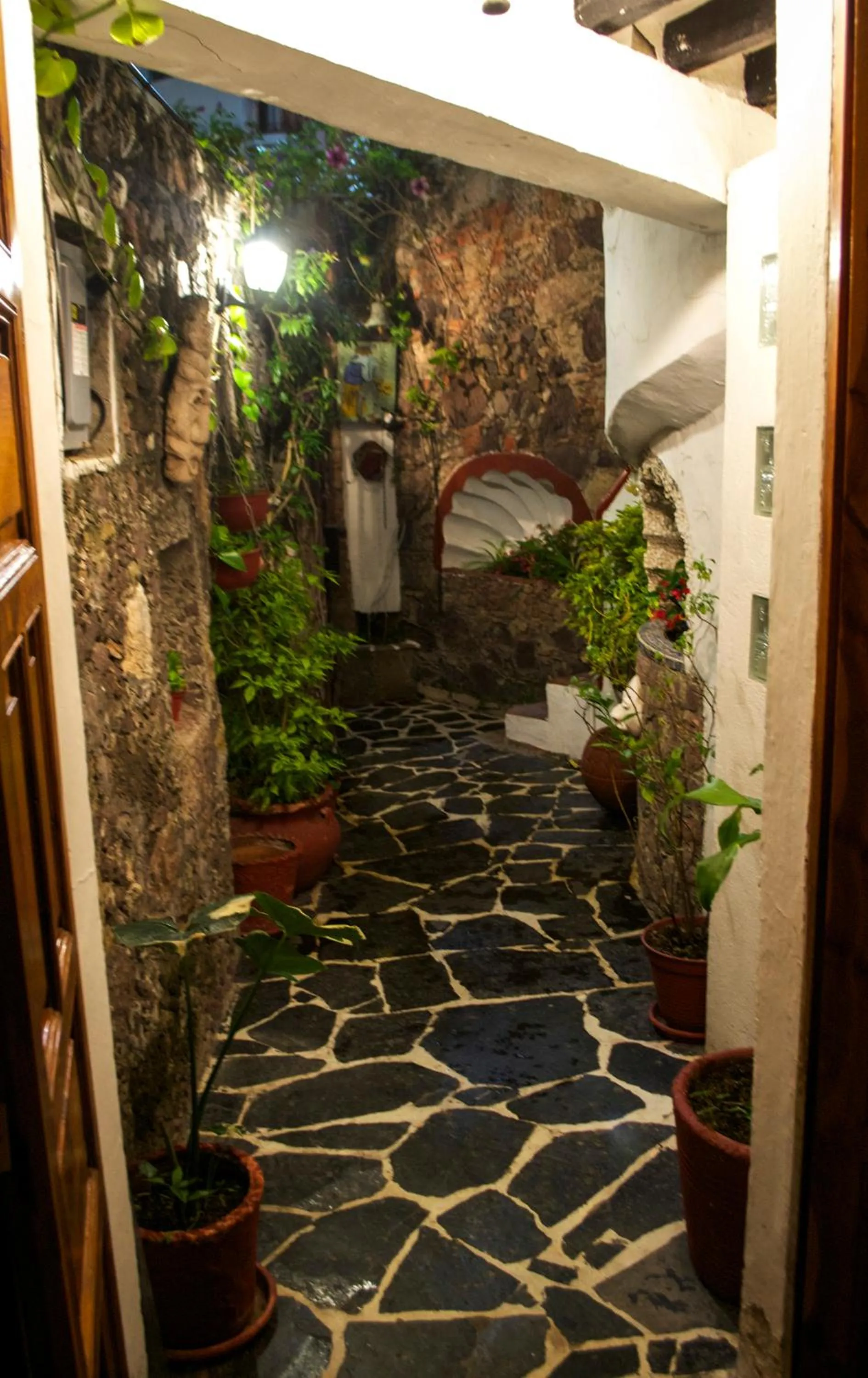Patio in Hotel Mi Casita