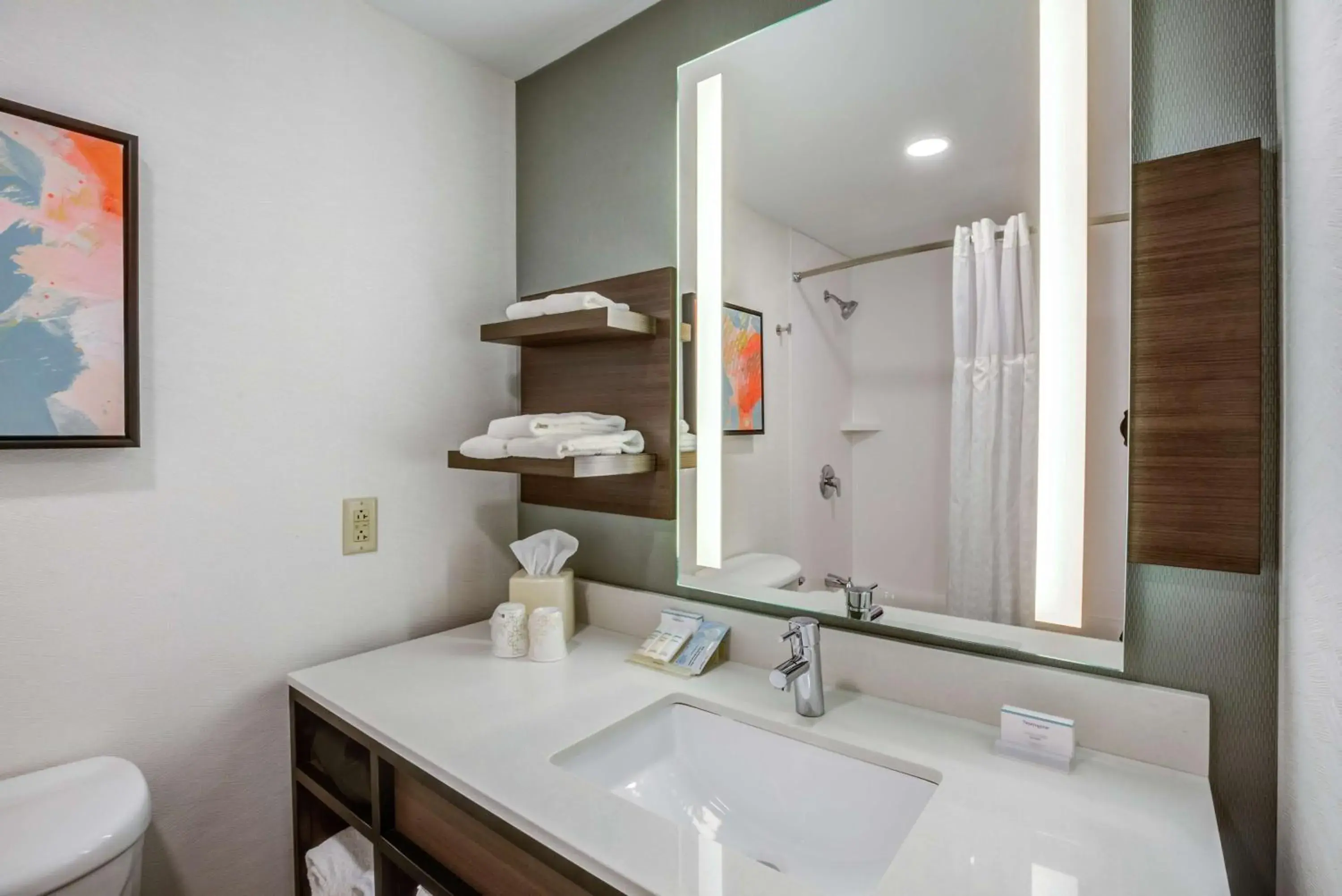 Bathroom in Hilton Garden Inn Boston Waltham Bathroom in Hilton Garden Inn Boston Waltham