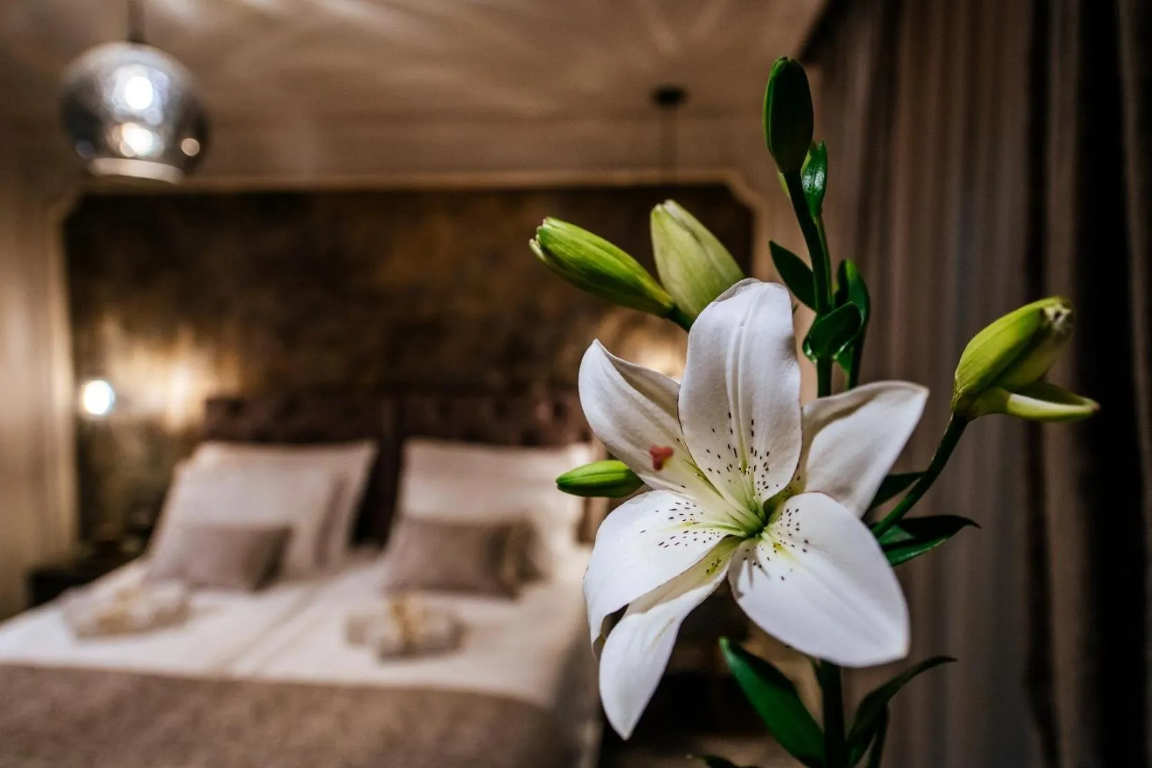 Bedroom, Bed in Luxury Rooms VINDEMIÆ