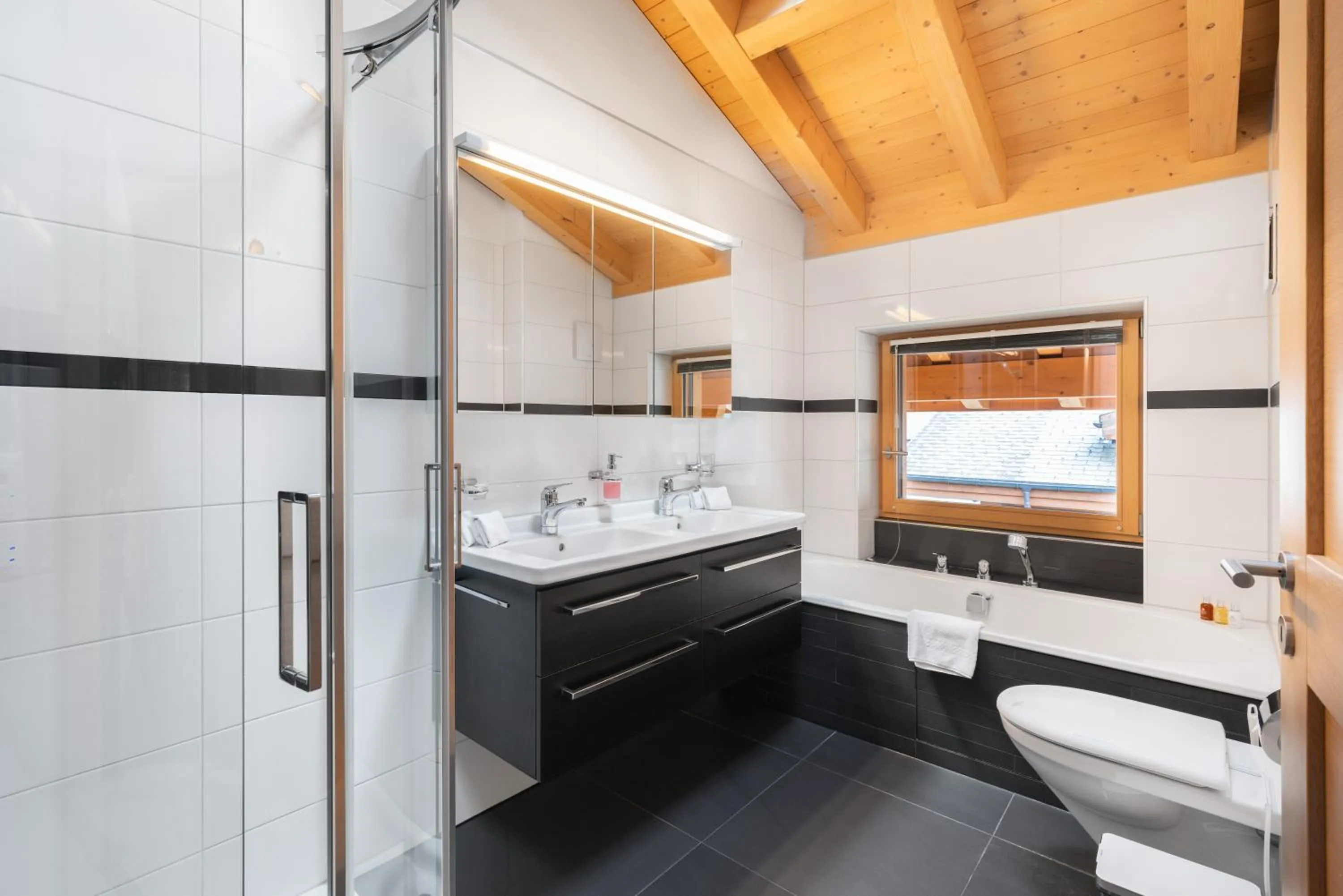 Toilet in Chalet Alia and Apartments-Grindelwald by Swiss Hotel Apartments