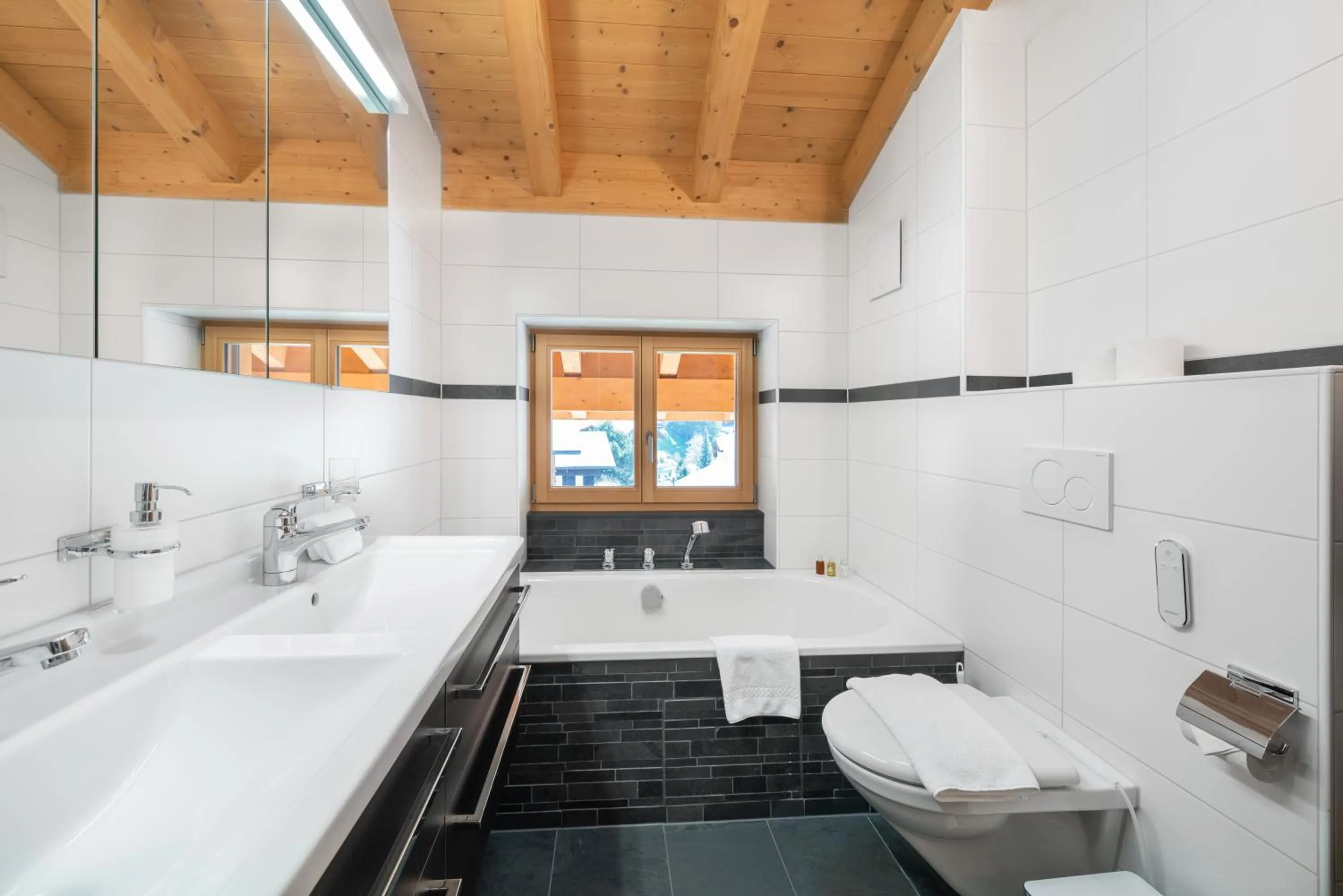 Toilet in Chalet Alia and Apartments-Grindelwald by Swiss Hotel Apartments